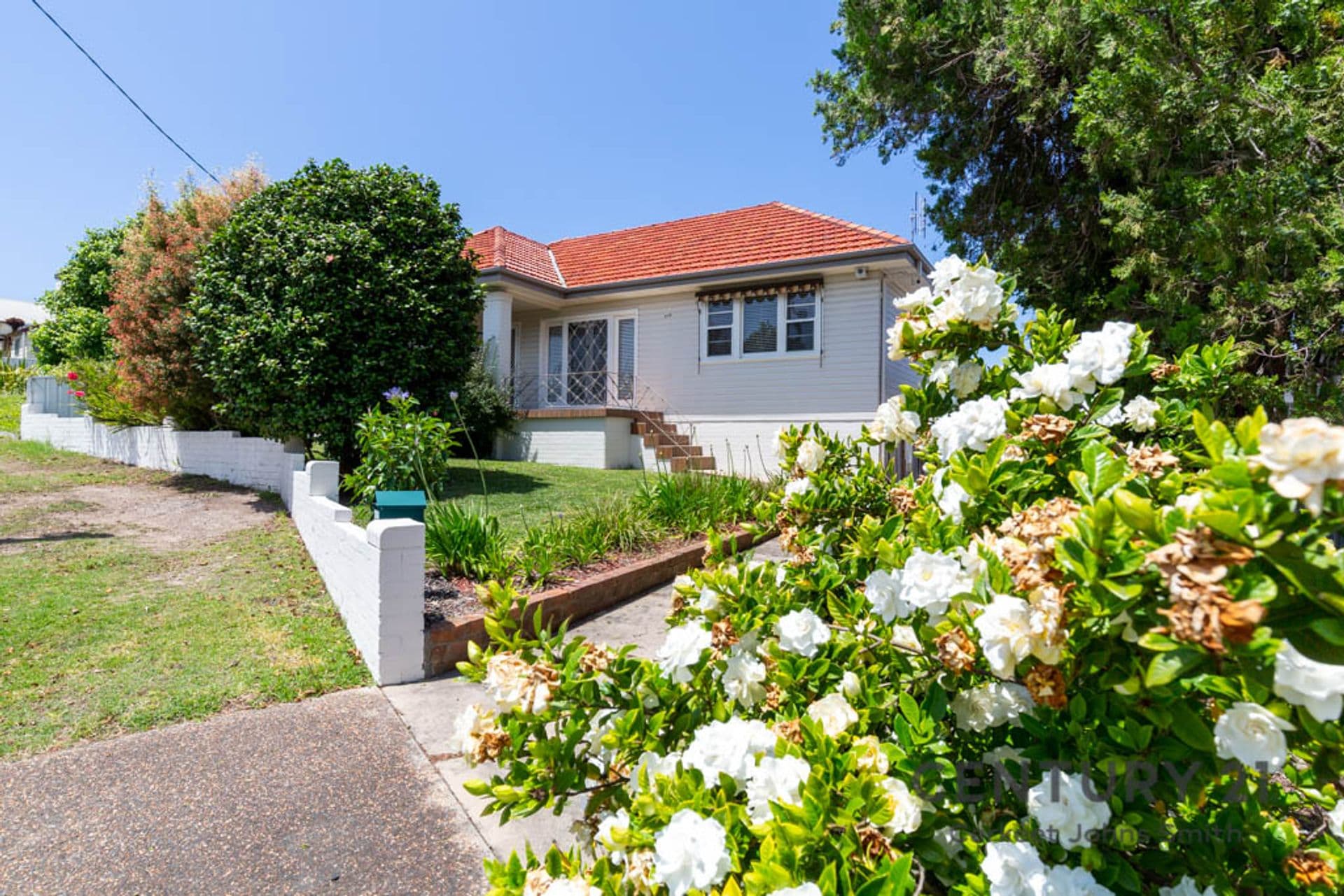 242 Charlestown Road, Charlestown, NSW, 2290, Charlestown - Image 1