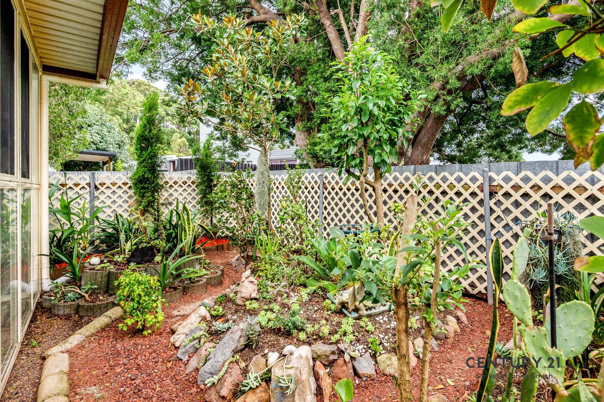 29 Joanne Street, Kotara, NSW, 2289, Kotara - Thumbnail 6