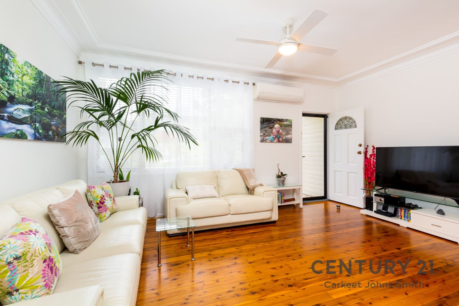 13 Terence Street, Adamstown Heights, NSW, 2289, Adamstown Heights - Thumbnail 2