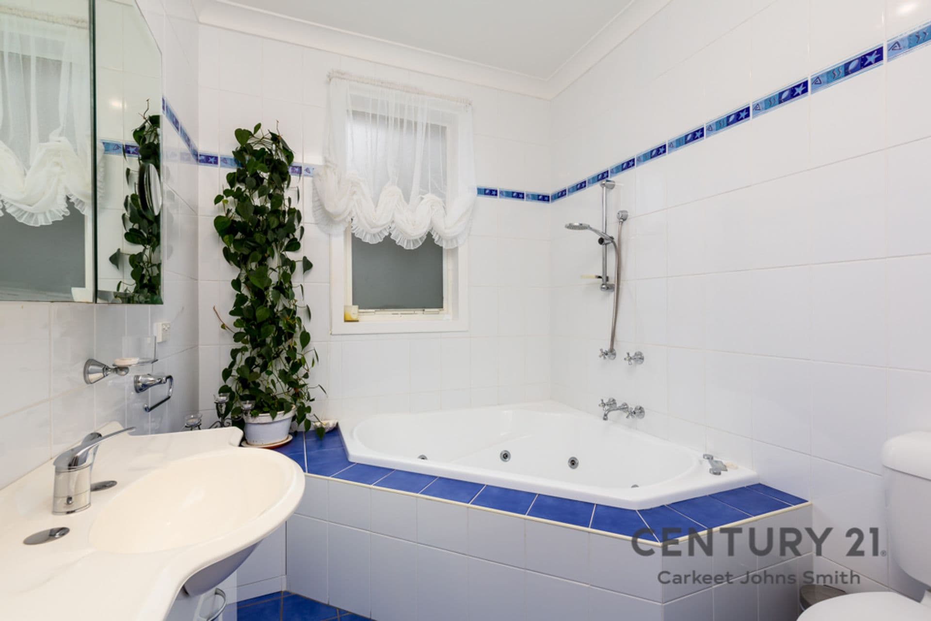 13 Terence Street, Adamstown Heights, NSW, 2289, Adamstown Heights - Thumbnail 8
