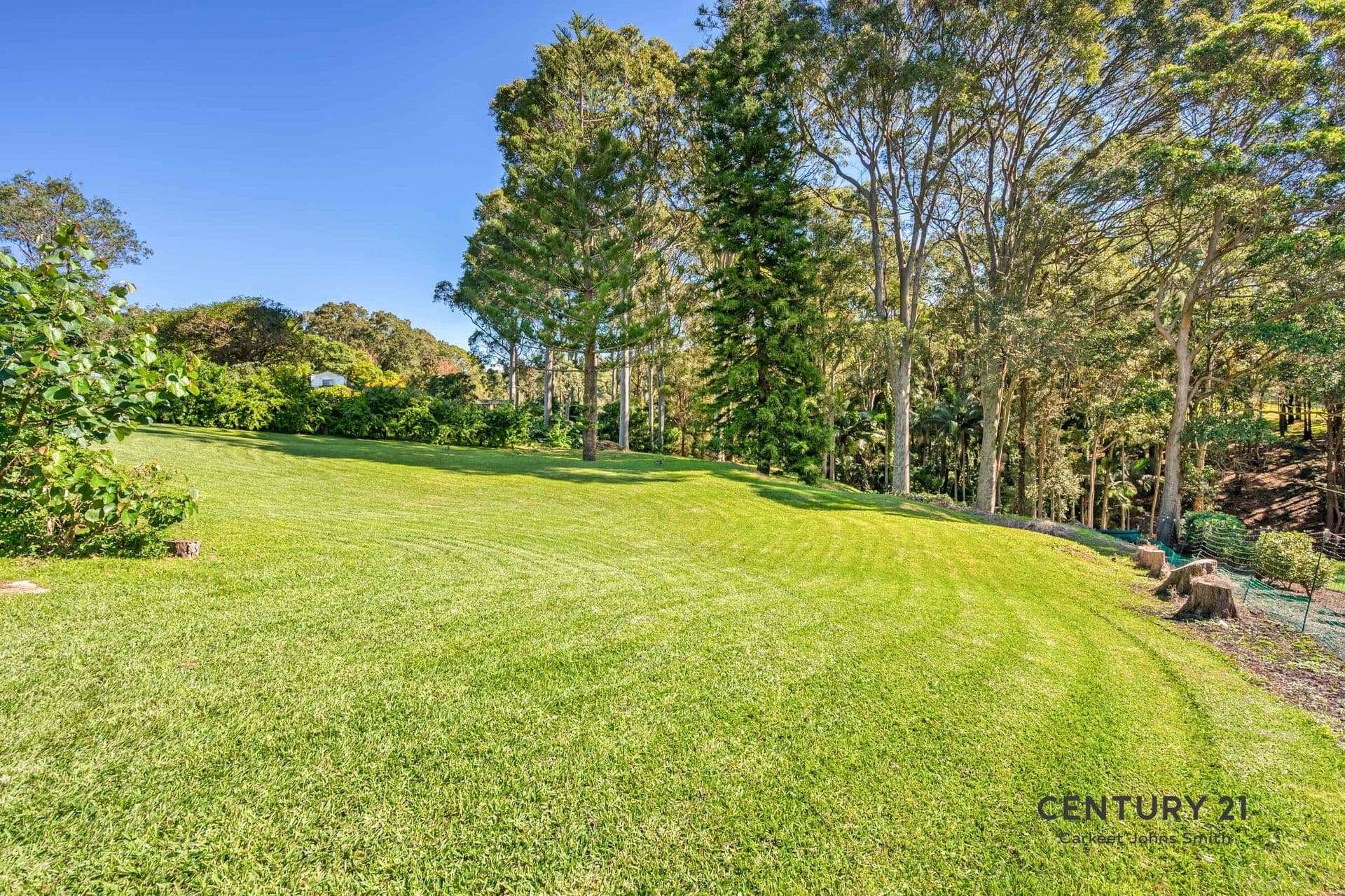 102 Pacific Highway, Jewells, NSW, 2280, Jewells - Thumbnail 3