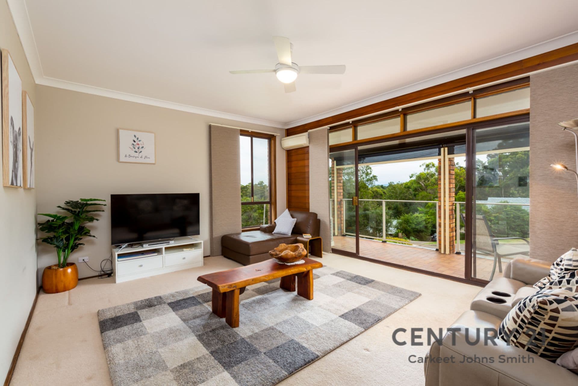 24 Hallam Street, Charlestown, NSW, 2290, Charlestown - Thumbnail 4