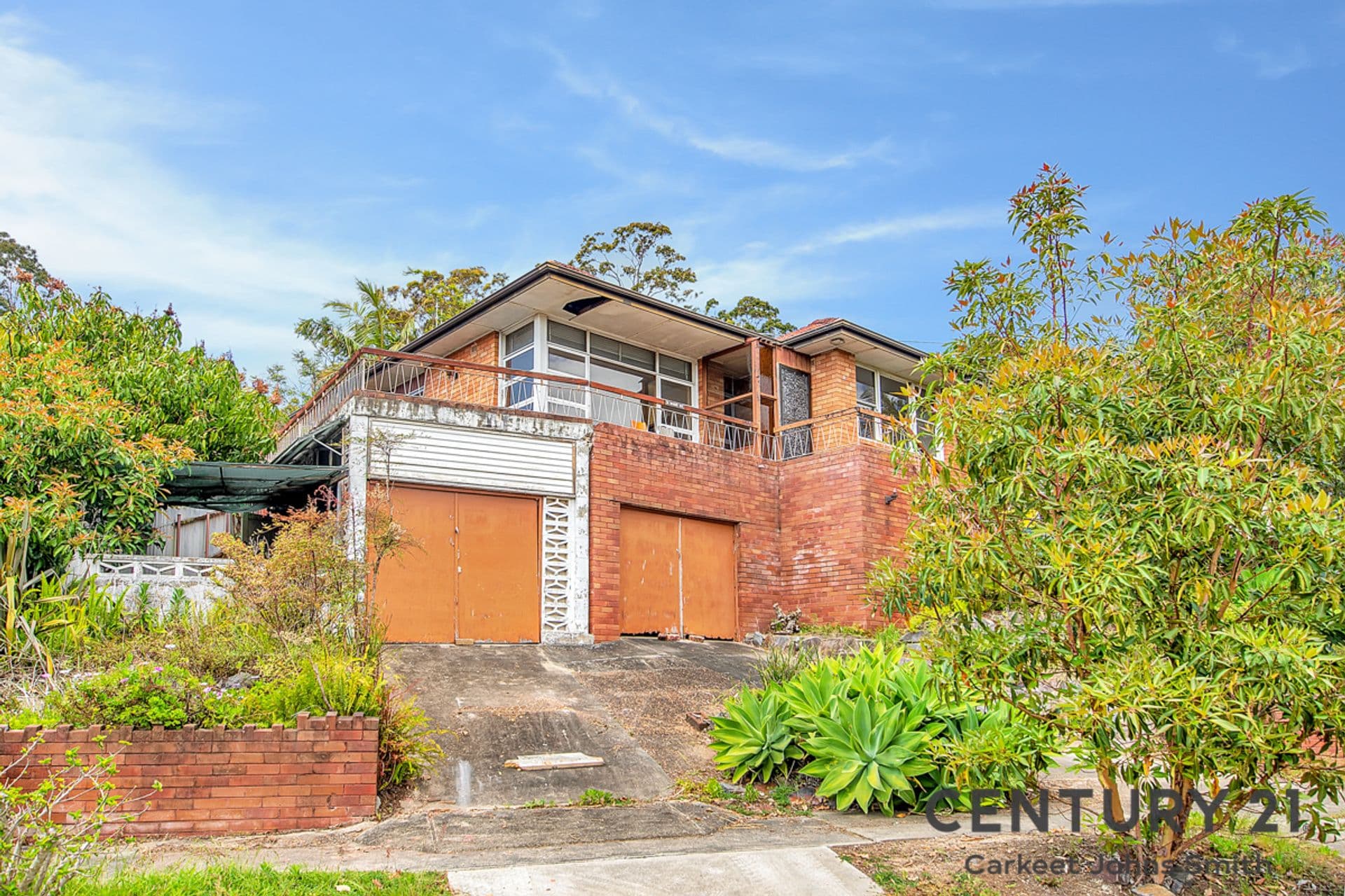 31 Wade Street, Adamstown Heights, NSW, 2289, Adamstown Heights - Thumbnail 2