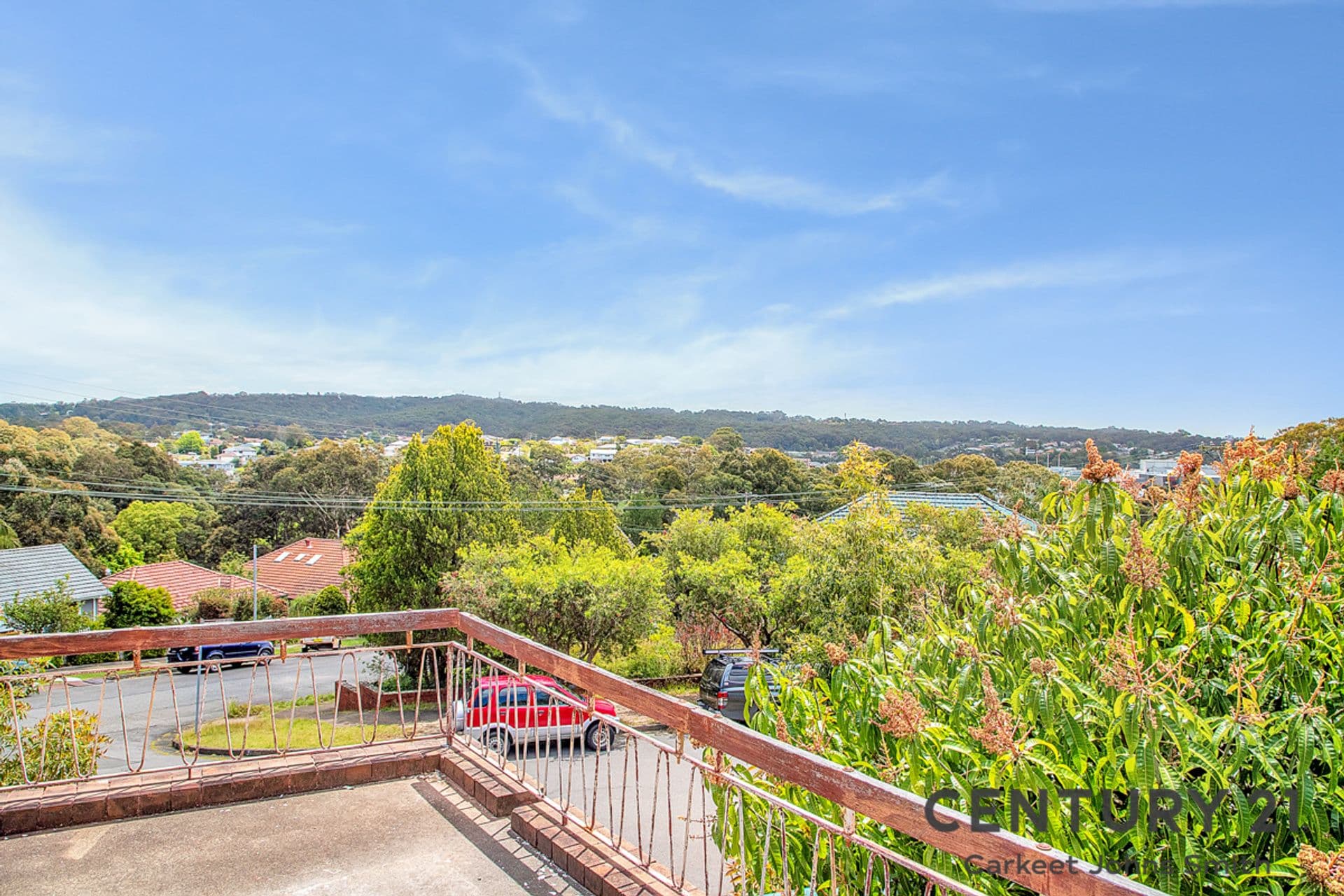 31 Wade Street, Adamstown Heights, NSW, 2289, Adamstown Heights - Thumbnail 4
