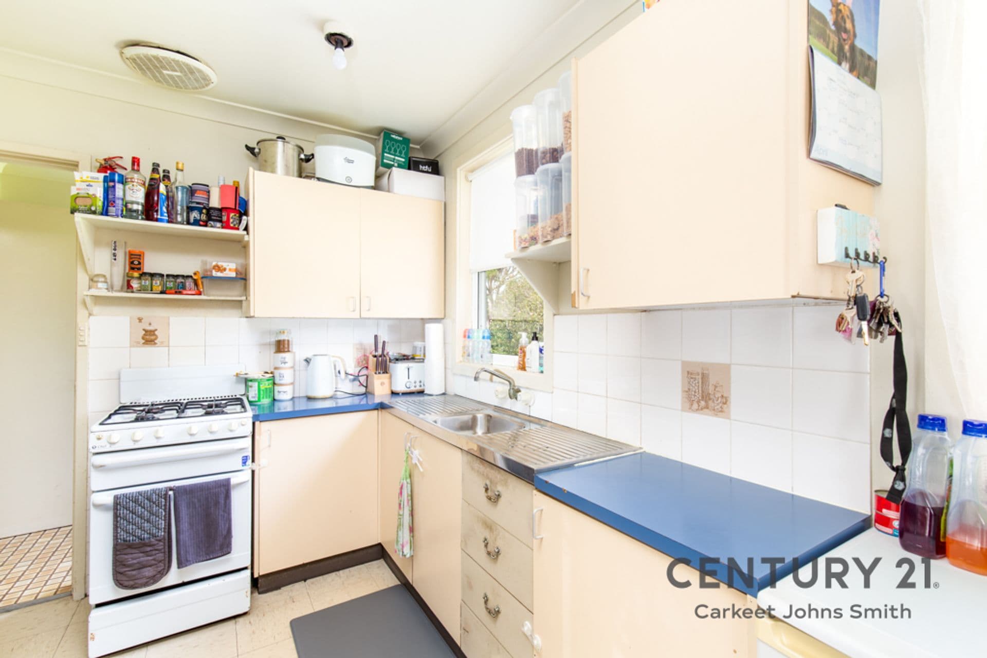 10 Willandra Crescent, Windale, NSW, 2306, Windale - Thumbnail 6