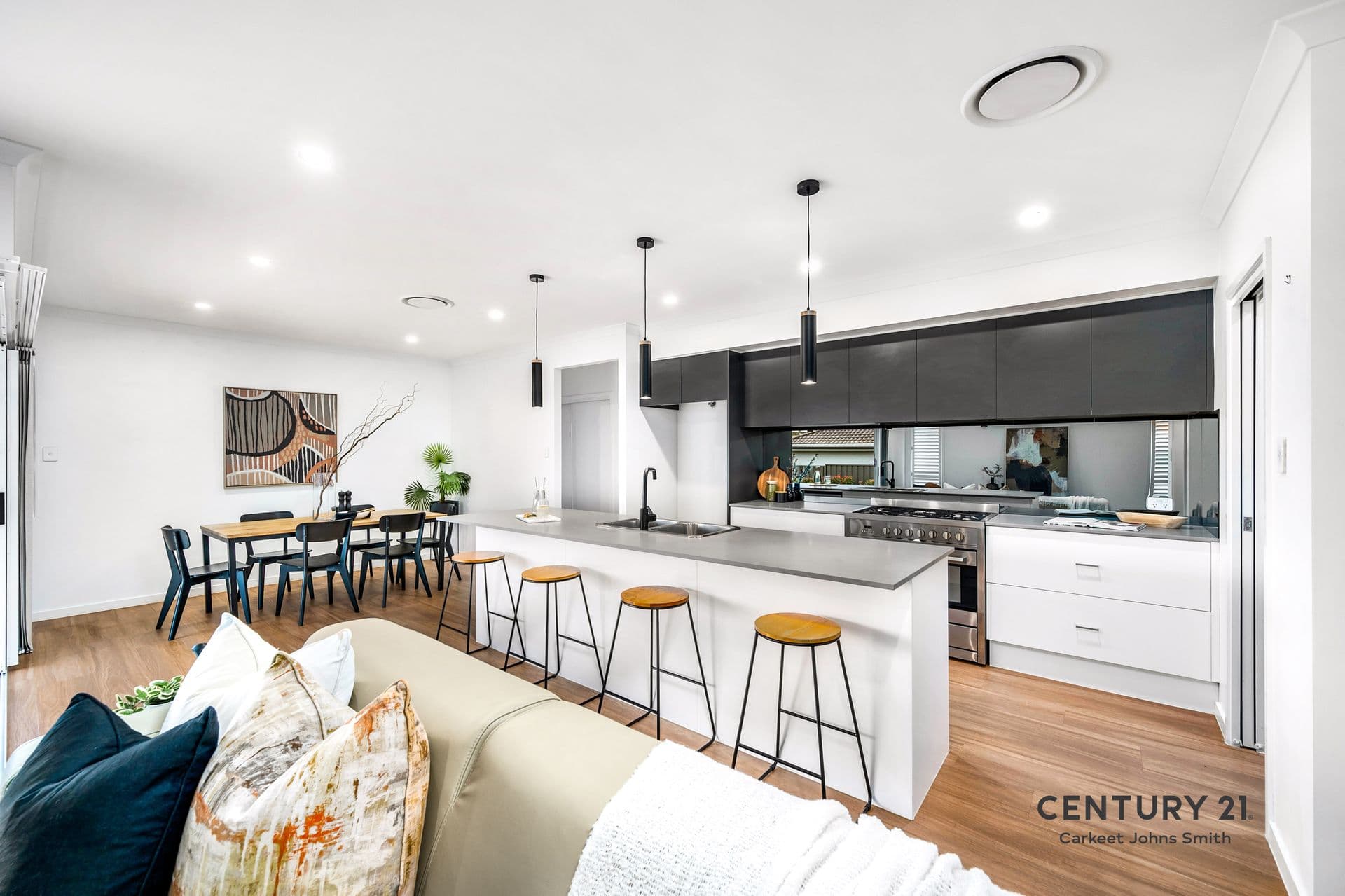 9 Ringtail Street, Fletcher, NSW, 2287, Fletcher - Thumbnail 3