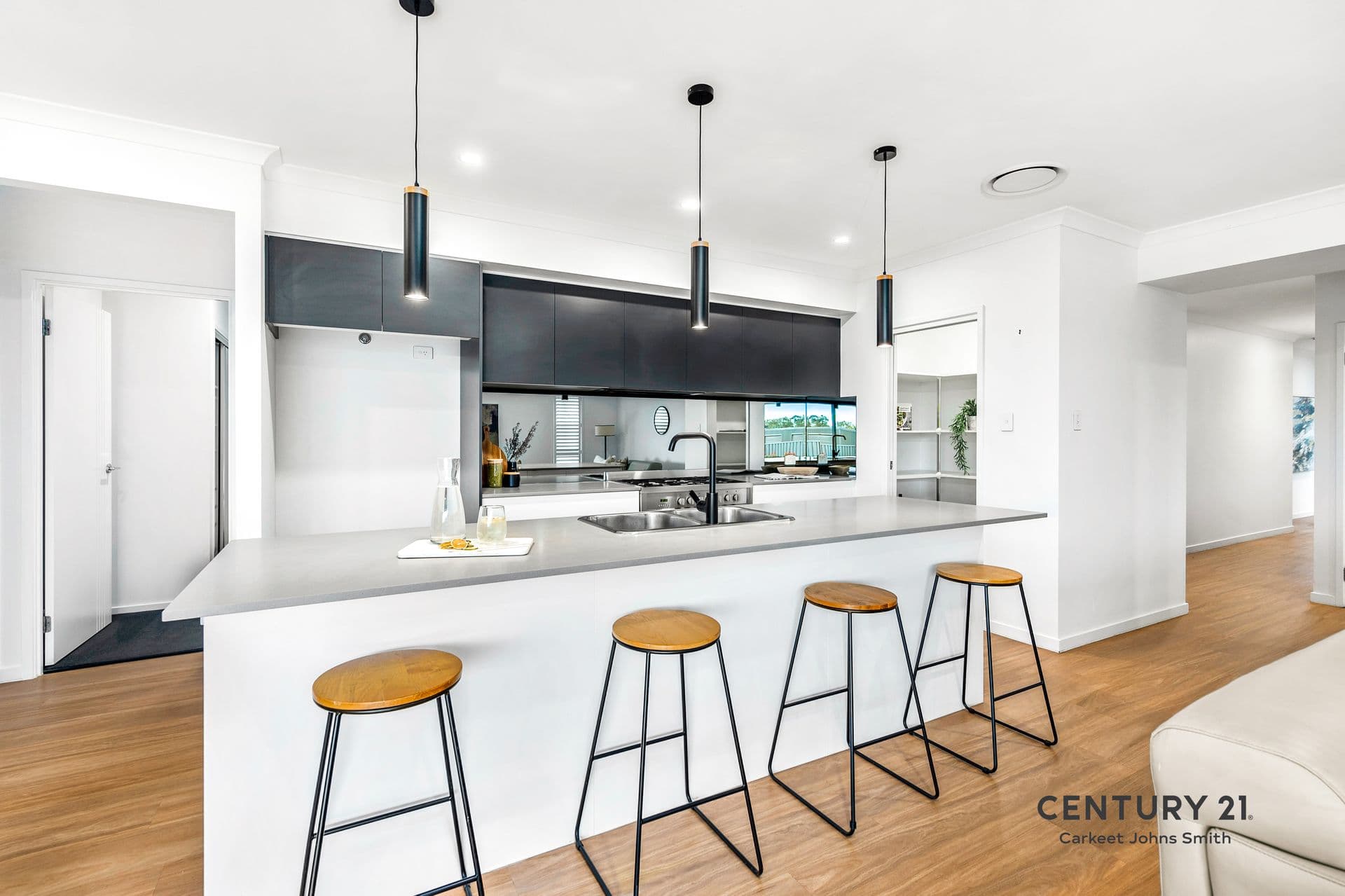 9 Ringtail Street, Fletcher, NSW, 2287, Fletcher - Thumbnail 4