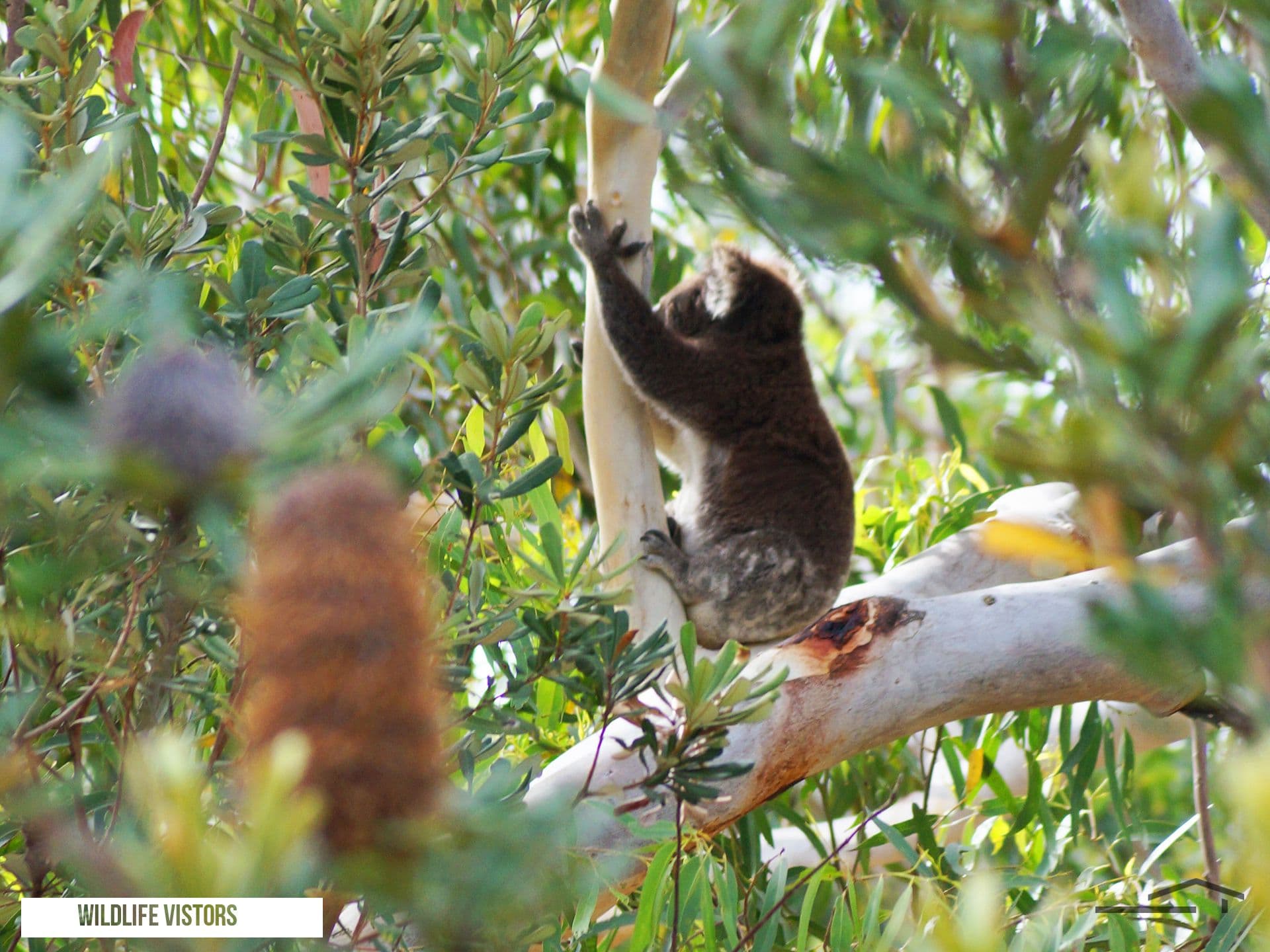23 One Mile Close, Boat Harbour, NSW, 2316, Boat Harbour - Thumbnail 7