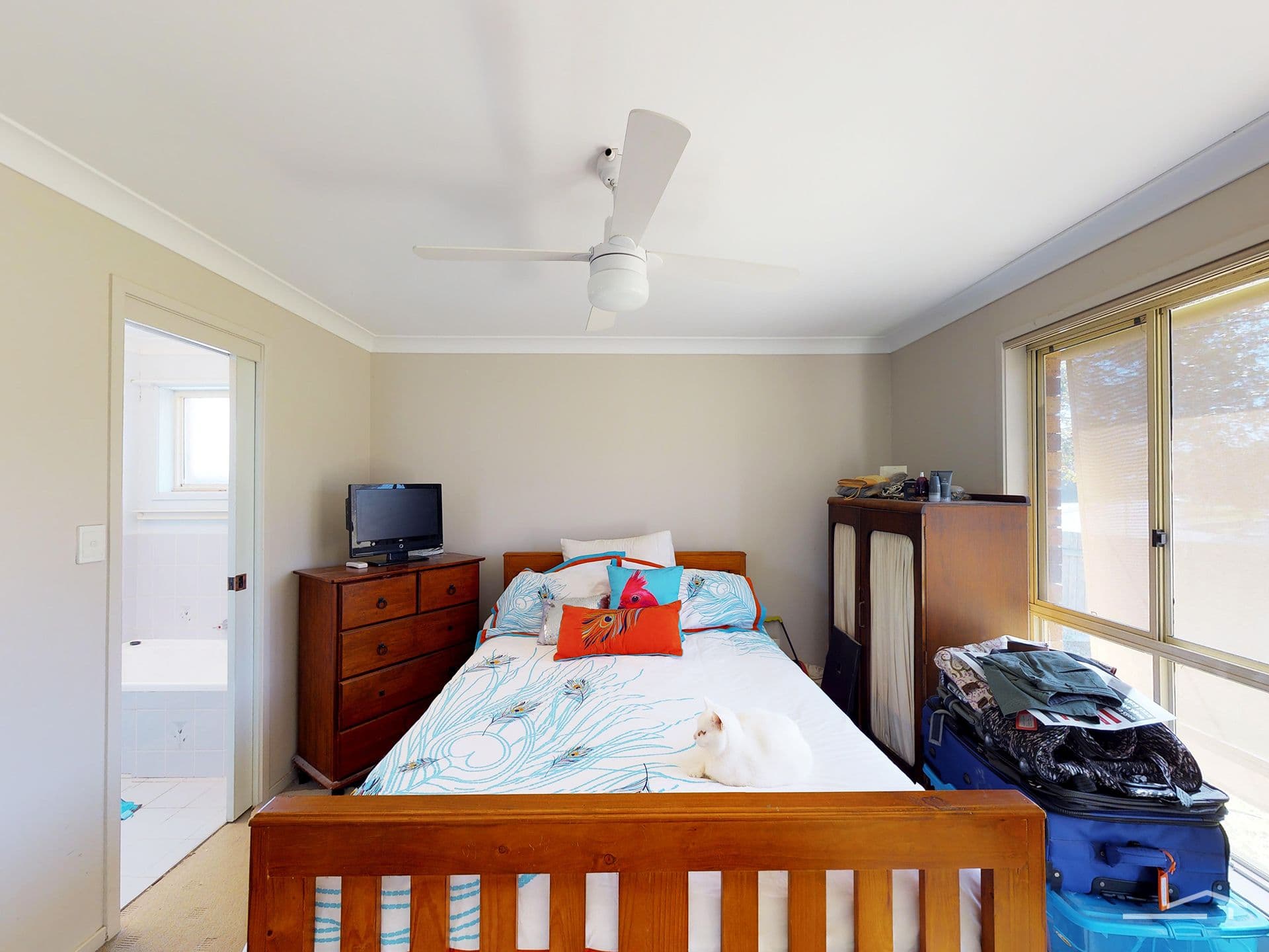 26  Dunmore Avenue, Anna Bay, NSW, 2316, Anna Bay - Thumbnail 7