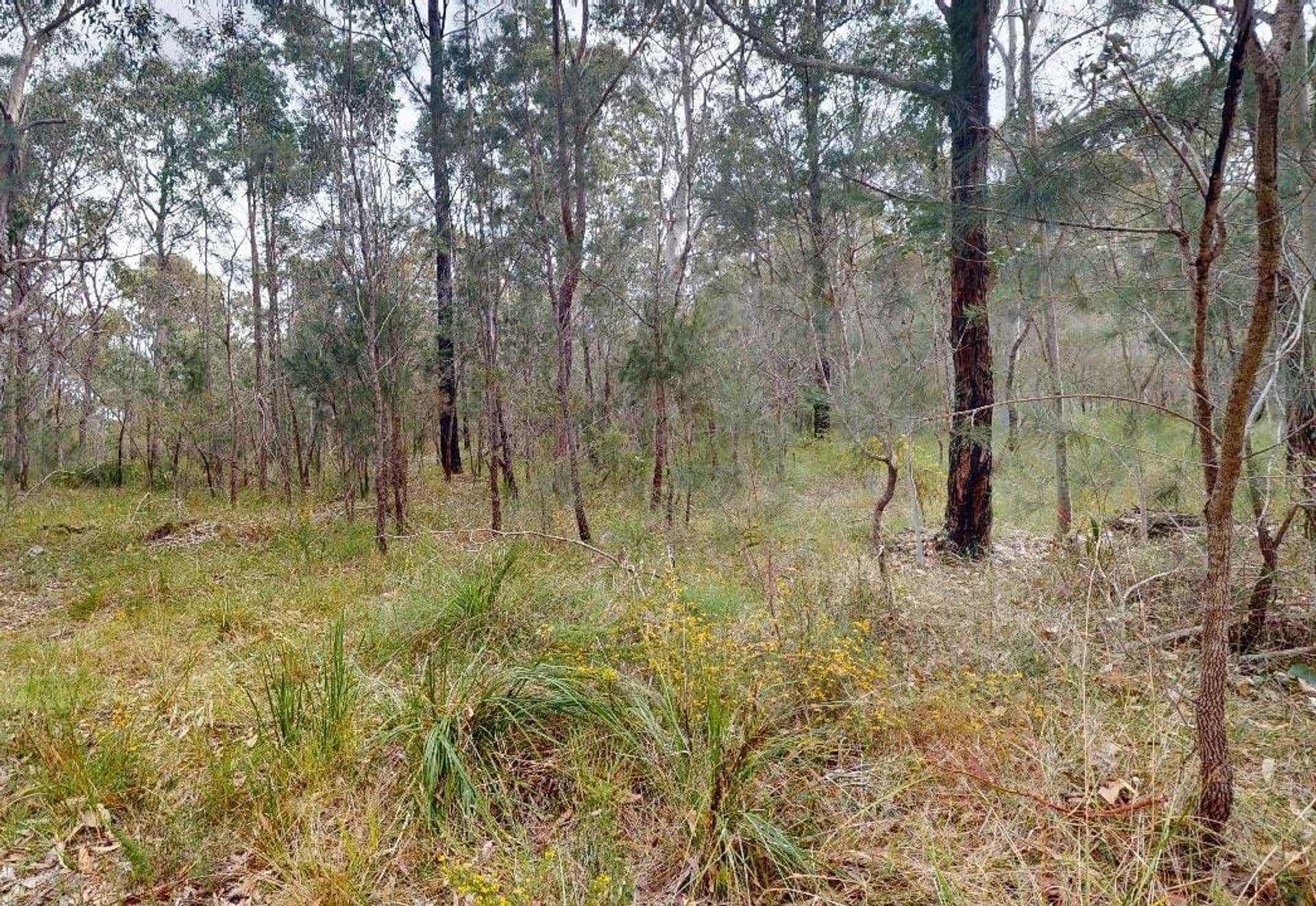 93 Lansdowne Grove, North Arm Cove, NSW, 2324, North Arm Cove - Thumbnail 8