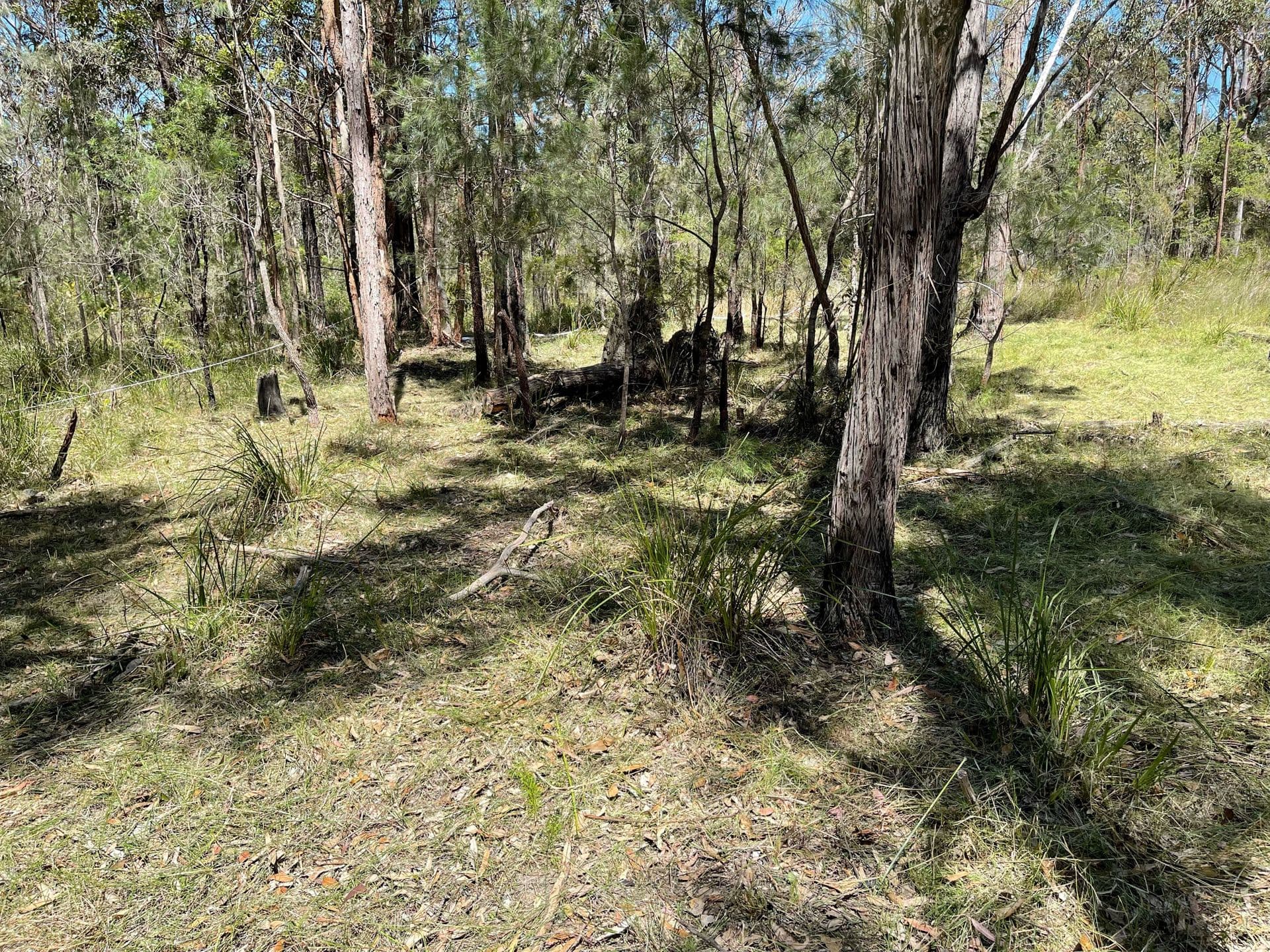 93 Lansdowne Grove, North Arm Cove, NSW, 2324, North Arm Cove - Thumbnail 4