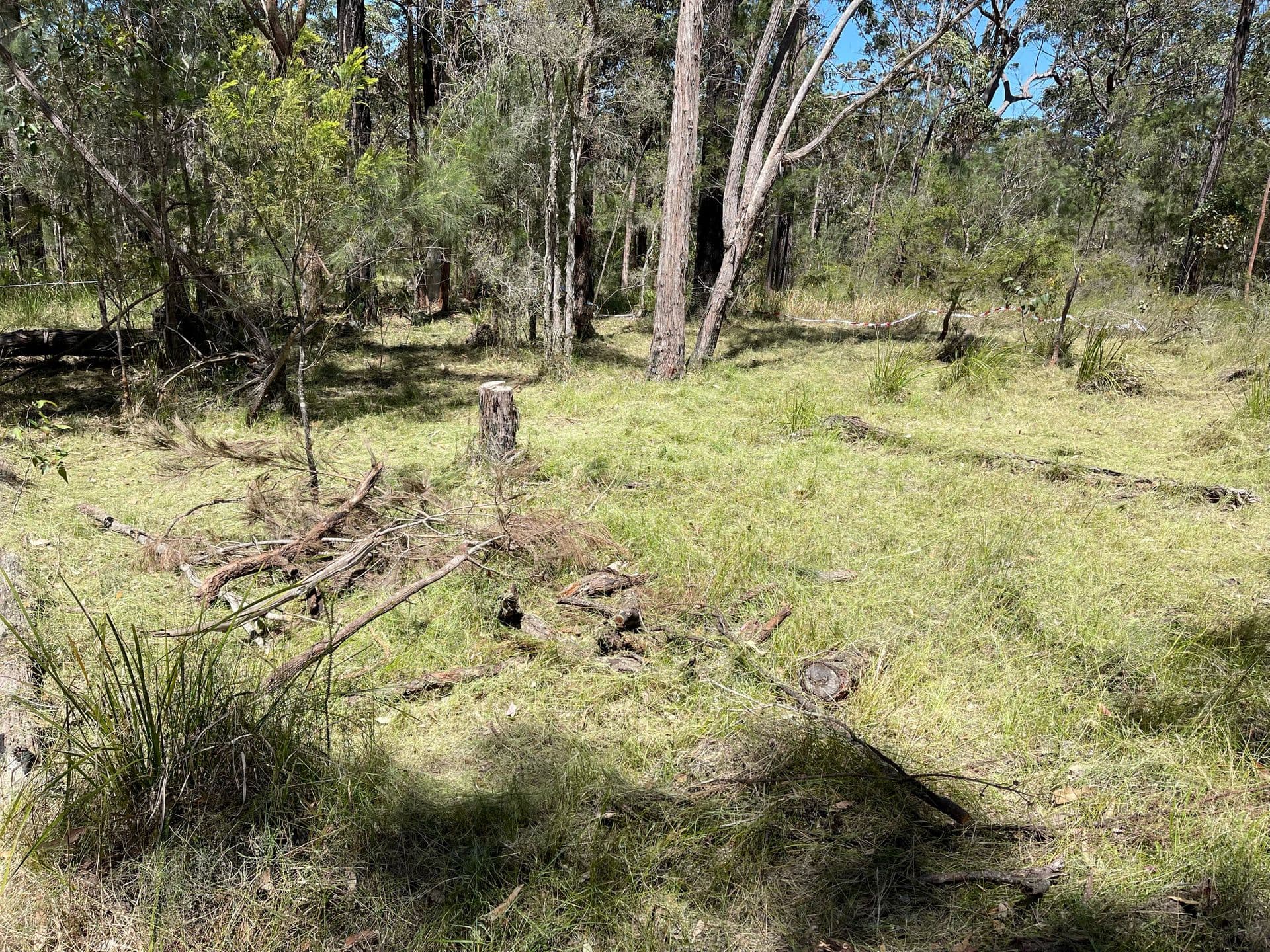 93 Lansdowne Grove, North Arm Cove, NSW, 2324, North Arm Cove - Thumbnail 5