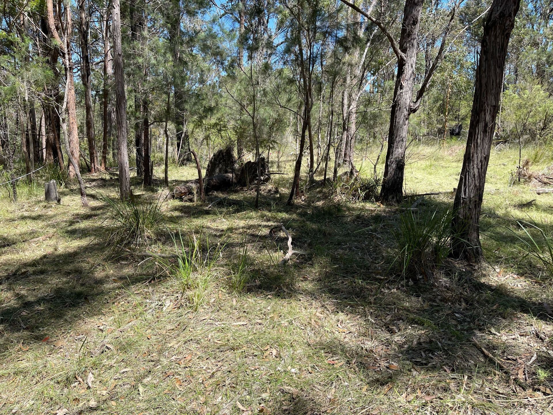 93 Lansdowne Grove, North Arm Cove, NSW, 2324, North Arm Cove - Thumbnail 6