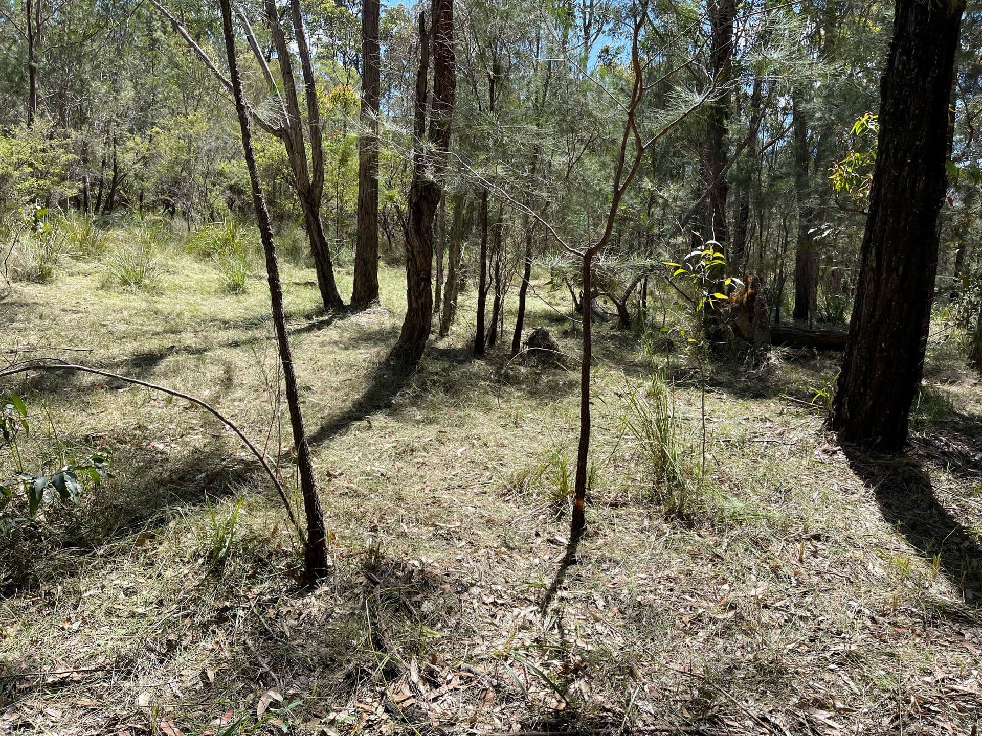 93 Lansdowne Grove, North Arm Cove, NSW, 2324, North Arm Cove - Thumbnail 7