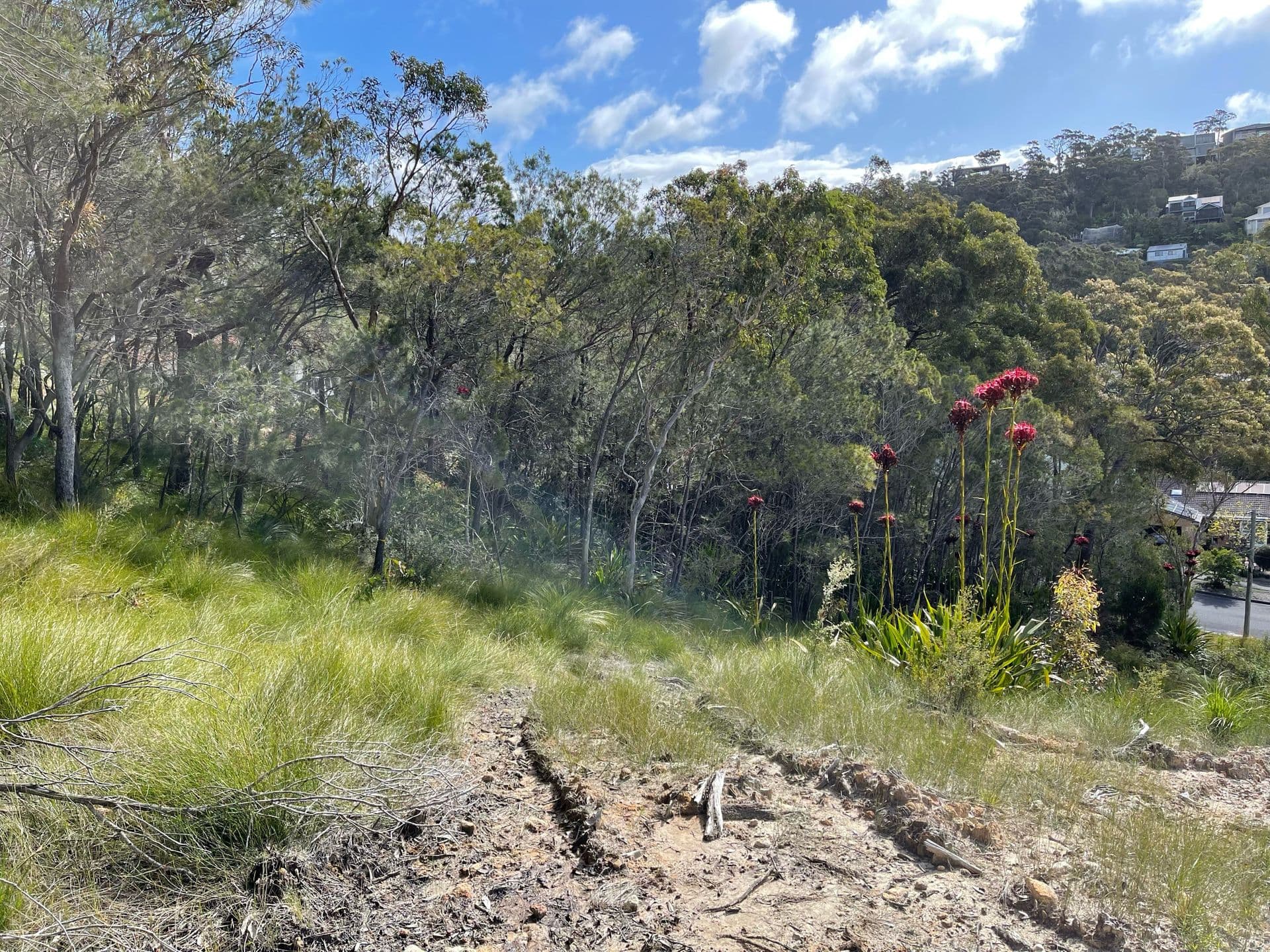 17 Navala Avenue, Nelson Bay, NSW, 2315, Nelson Bay - Thumbnail 3
