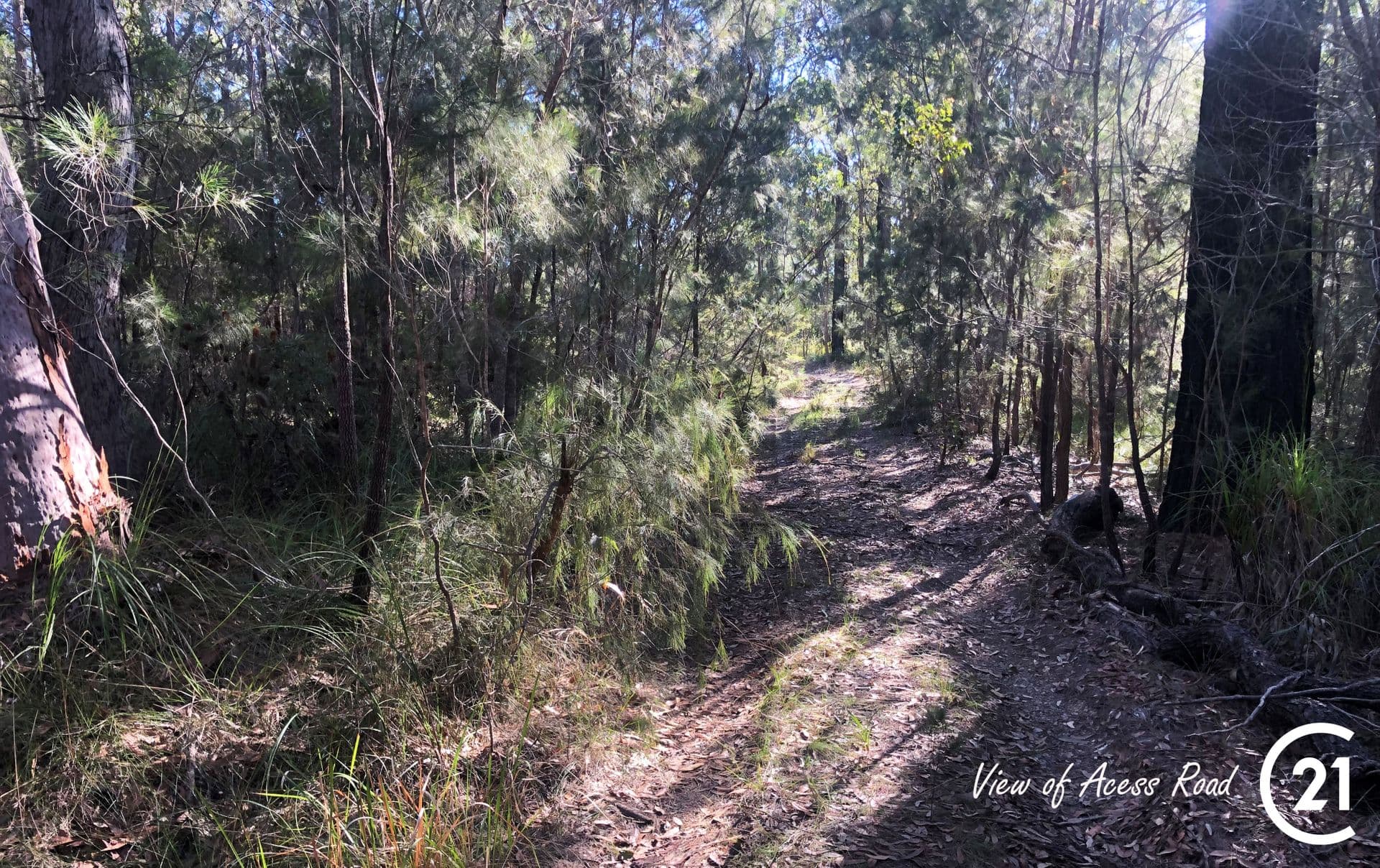 Lot 90 Lansdowne Grove, North Arm Cove, NSW, 2324, North Arm Cove - Thumbnail 2