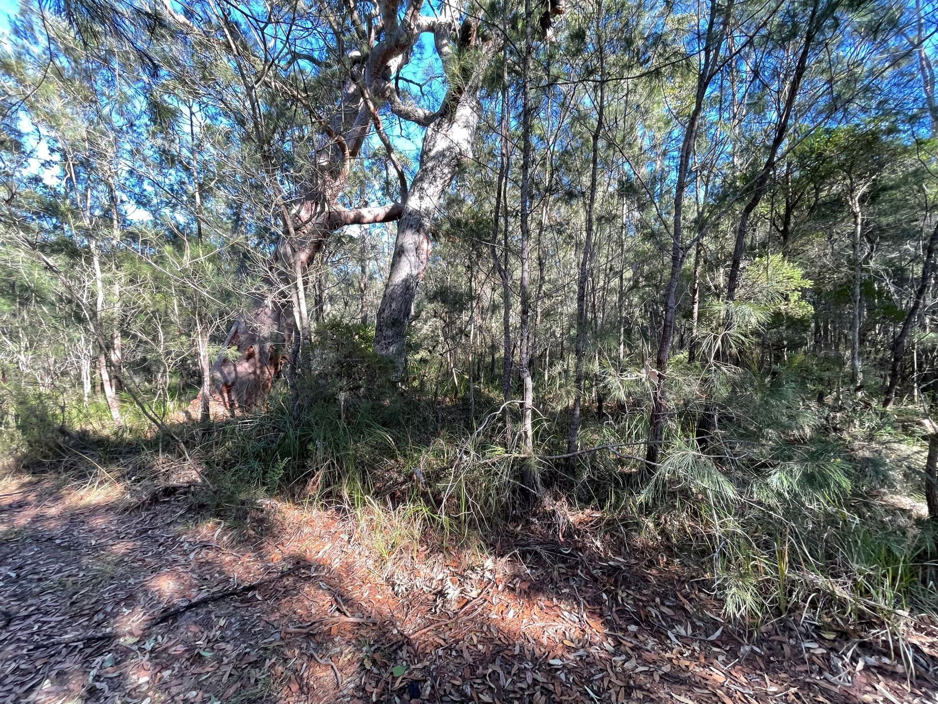 Lot 90 Lansdowne Grove, North Arm Cove, NSW, 2324, North Arm Cove - Image 1