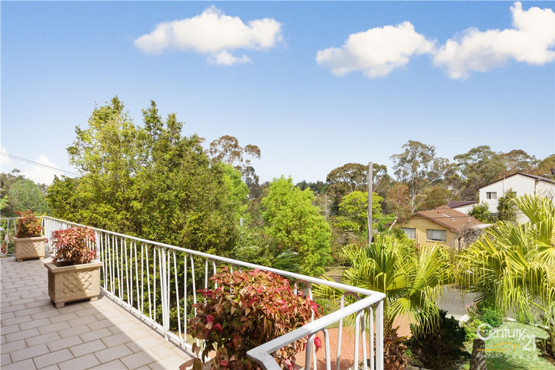 8 Bligh Street, Killara, NSW, 2071, East Killara - Thumbnail 4