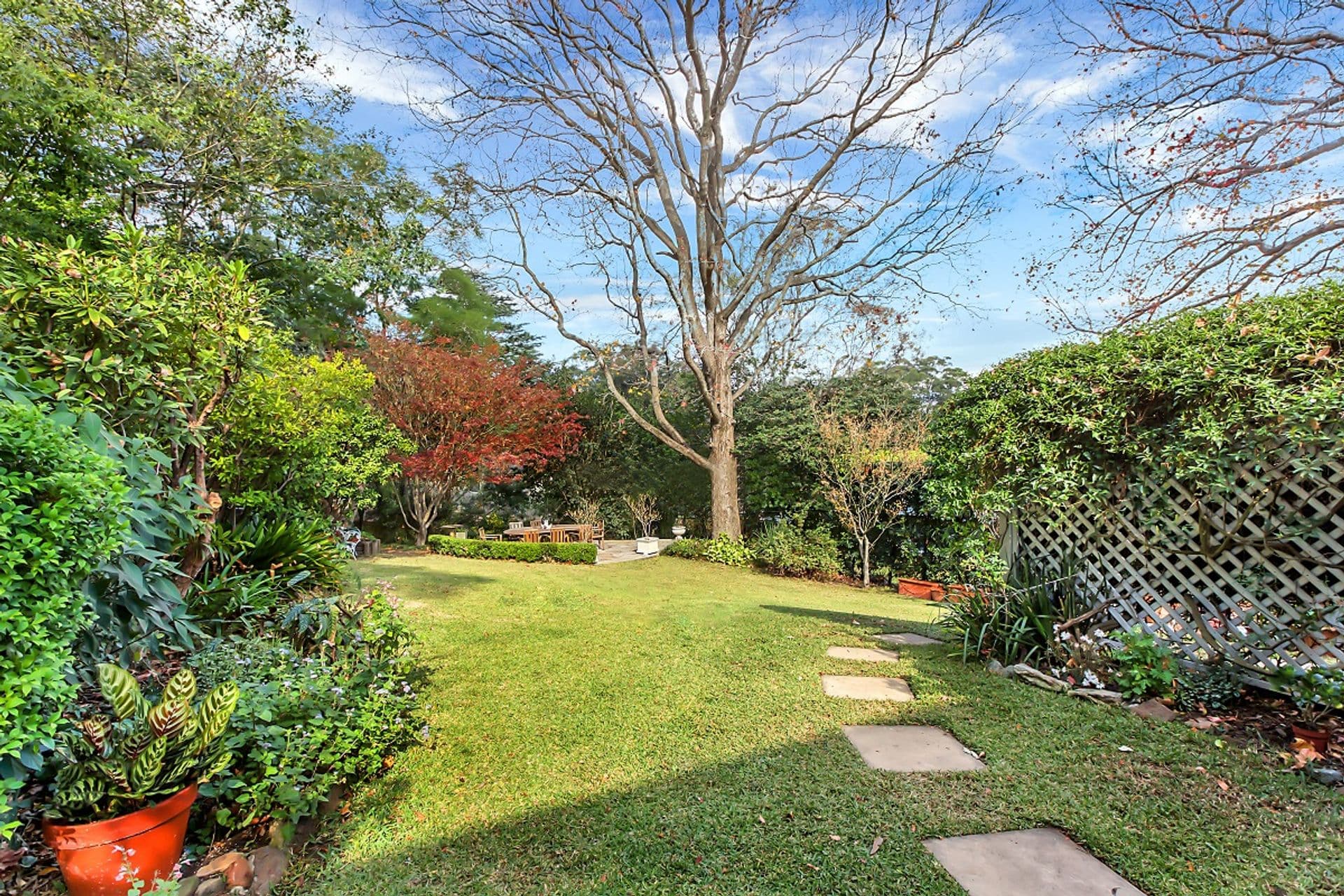6 Essex Street, Killara, NSW, 2071, Killara - Thumbnail 7