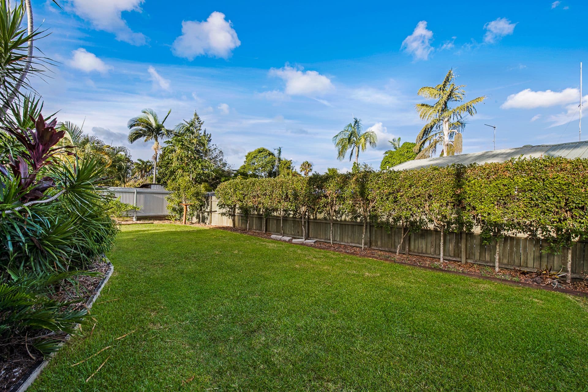 6 Bennelong Court, Kuluin, QLD, 4558, Kuluin - Thumbnail 3