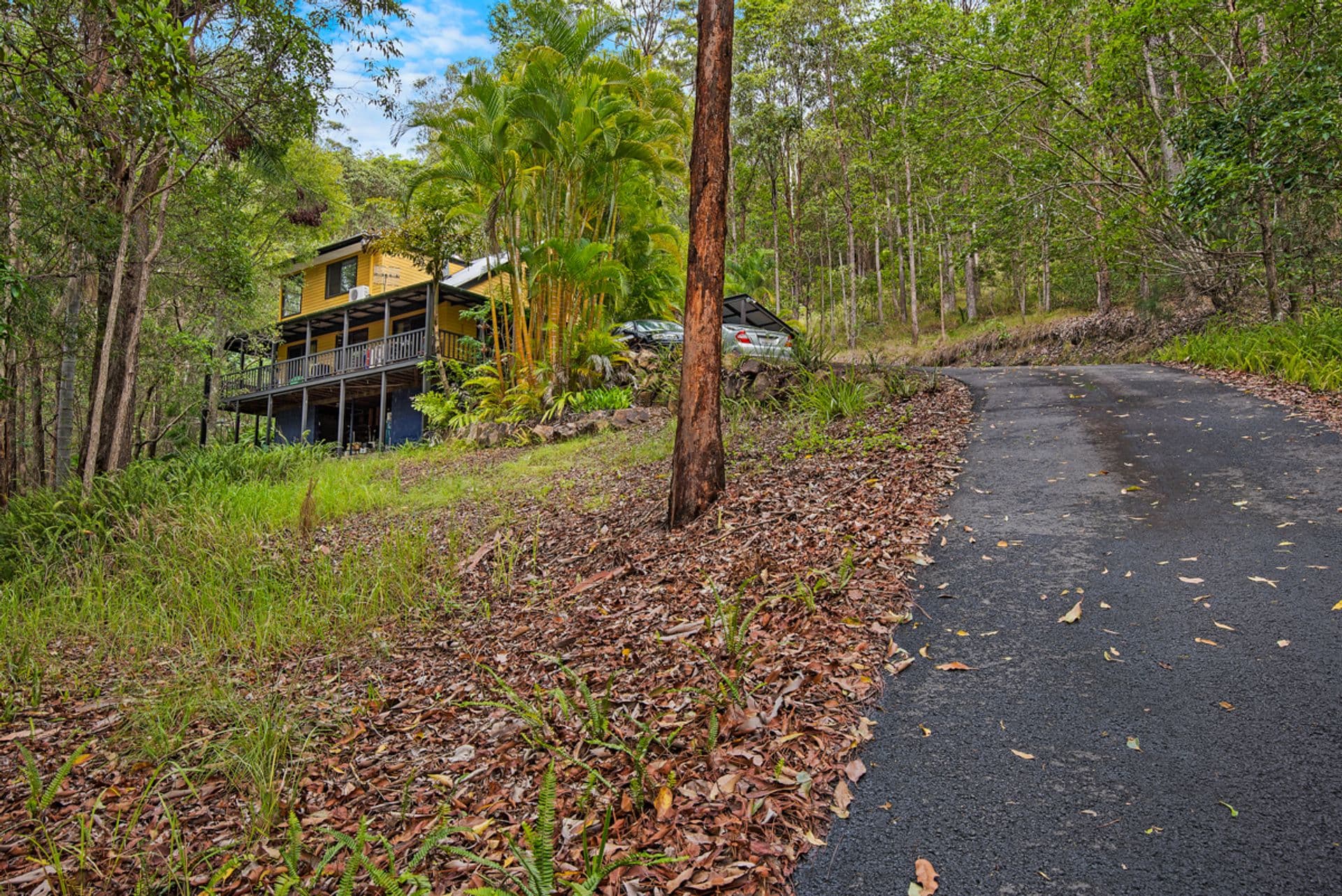 196 Wappa Falls Road, Yandina, QLD, 4561, Yandina - Image 1