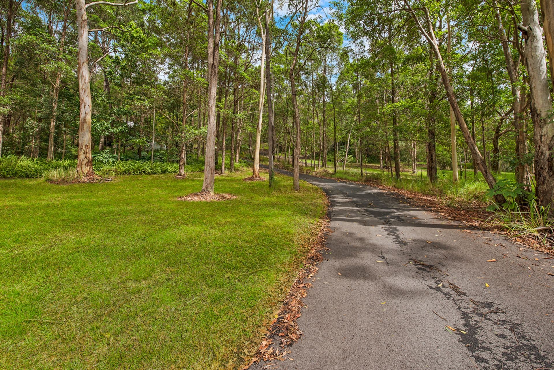 196 Wappa Falls Road, Yandina, QLD, 4561, Yandina - Thumbnail 3