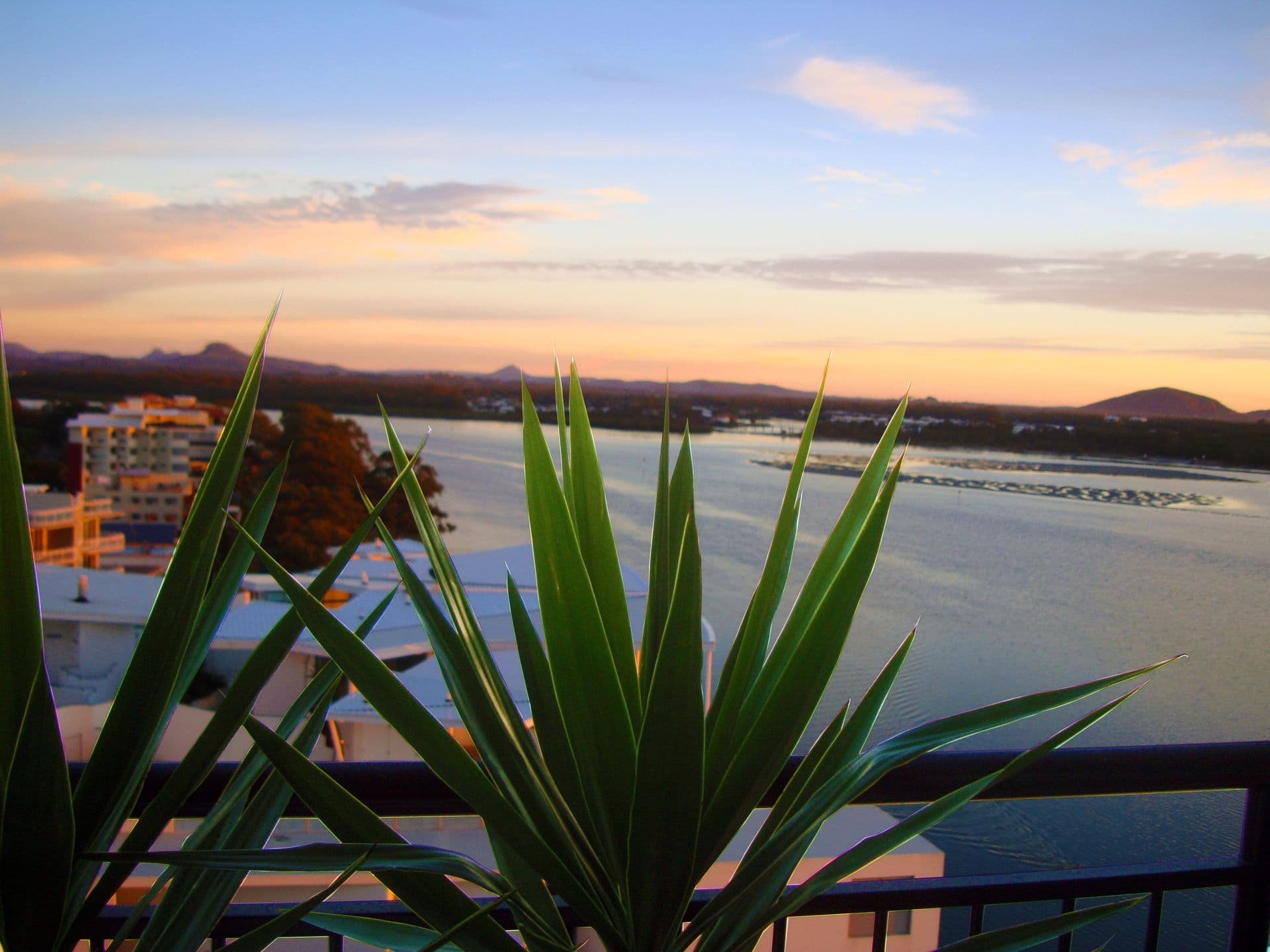 82/150 Duporth Avenue, Maroochydore, QLD, 4558, Maroochydore - Thumbnail 7