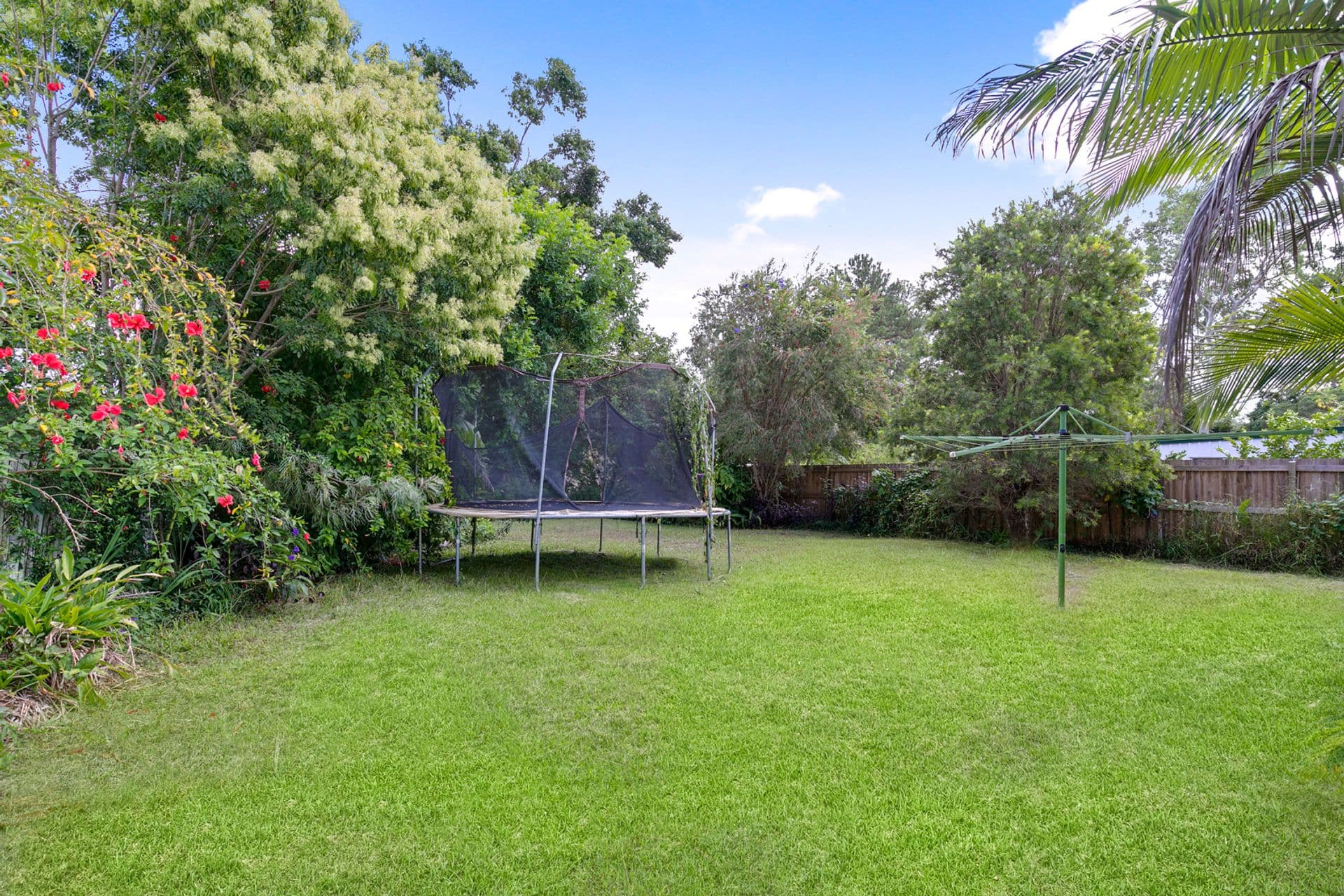 31 Gympie Street North, Landsborough, QLD, 4550, Landsborough - Thumbnail 6