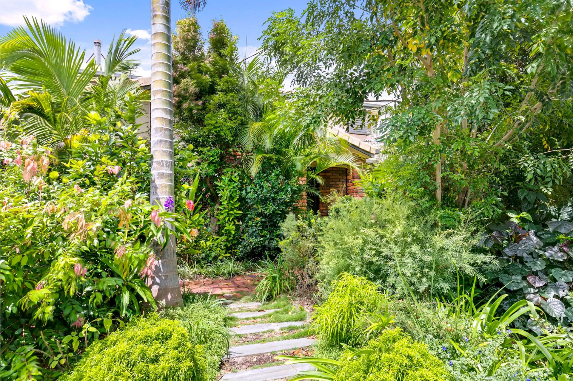 407 Oceanic Drive, Wurtulla, QLD, 4575, Wurtulla - Thumbnail 2