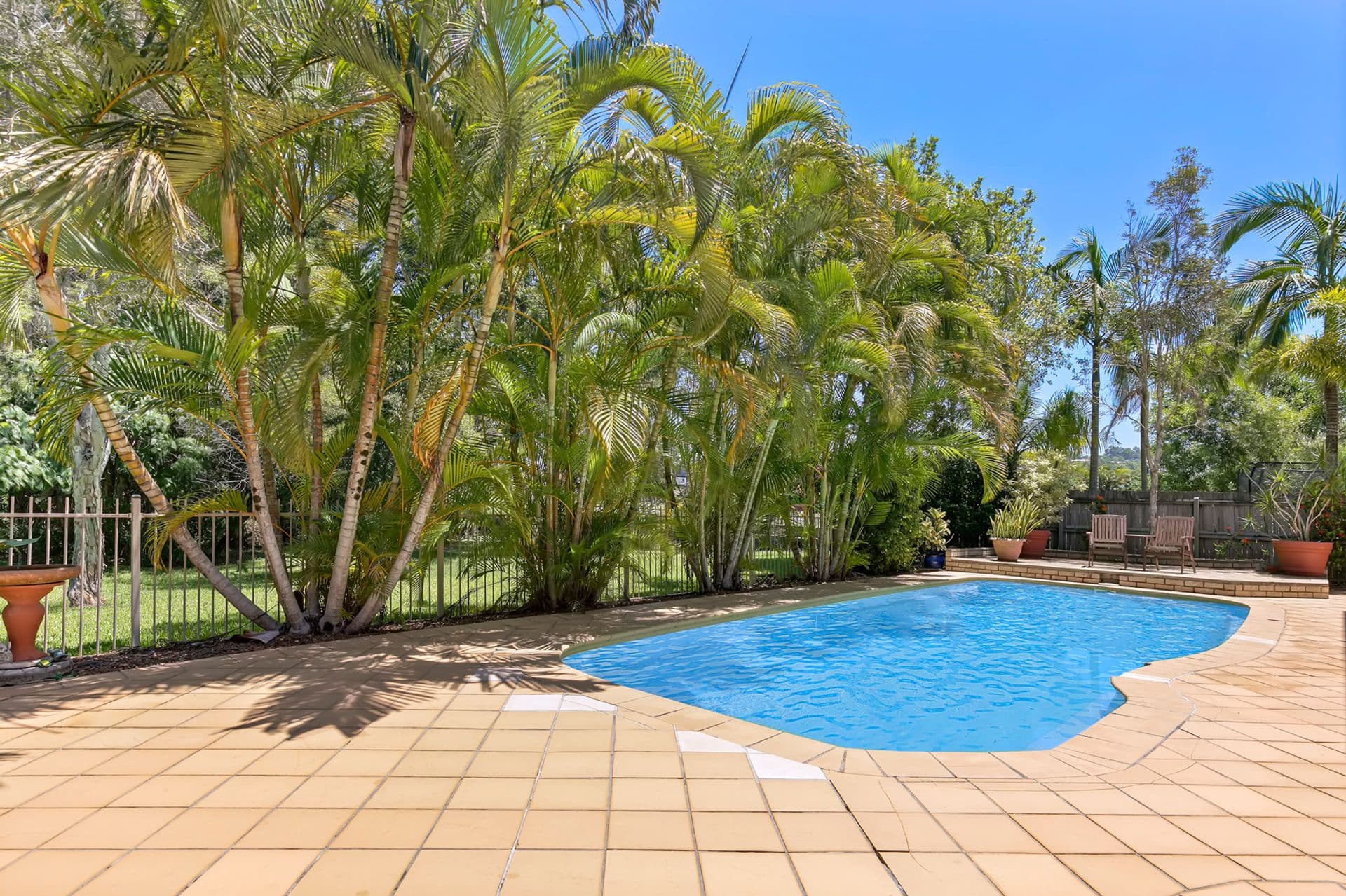 8 Adrian Close, Buderim, QLD, 4556, Buderim - Thumbnail 2