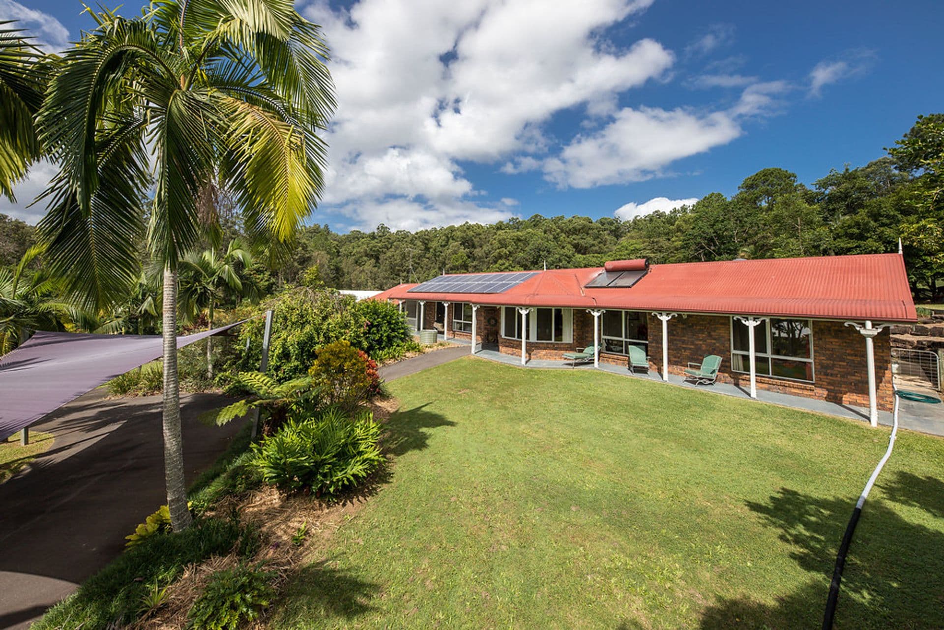2 Cardinal Court, Palmwoods, QLD, 4555, Palmwoods - Thumbnail 2
