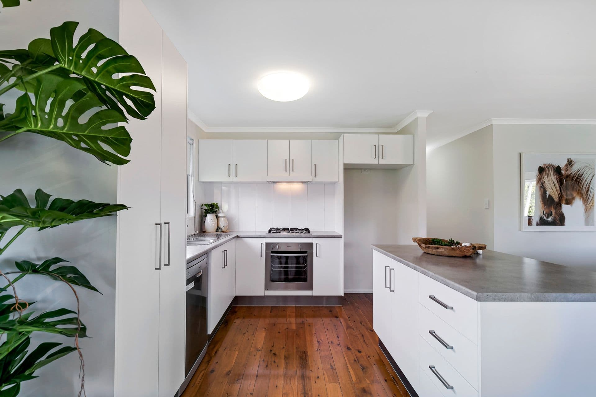 81 Centenary Crescent, Alexandra Headland, QLD, 4572, Alexandra Headland - Thumbnail 7