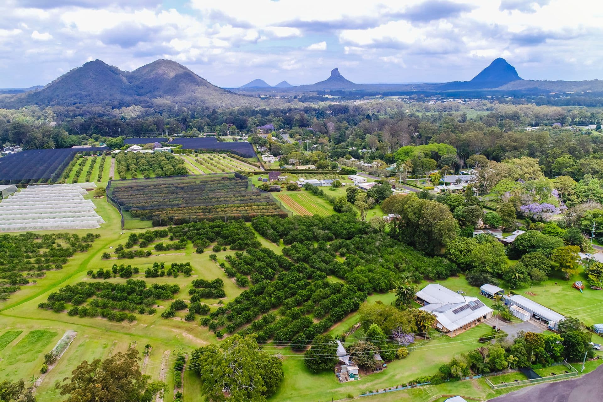 64 Alfs Pinch Road, Beerwah, QLD, 4519, Beerwah - Image 1