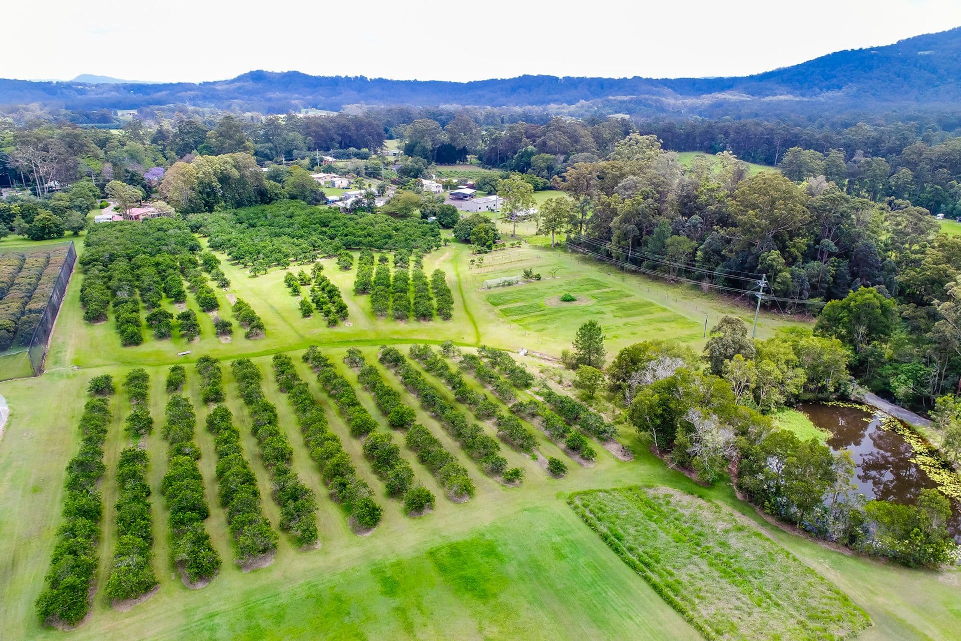 64 Alfs Pinch Road, Beerwah, QLD, 4519, Beerwah - Thumbnail 3