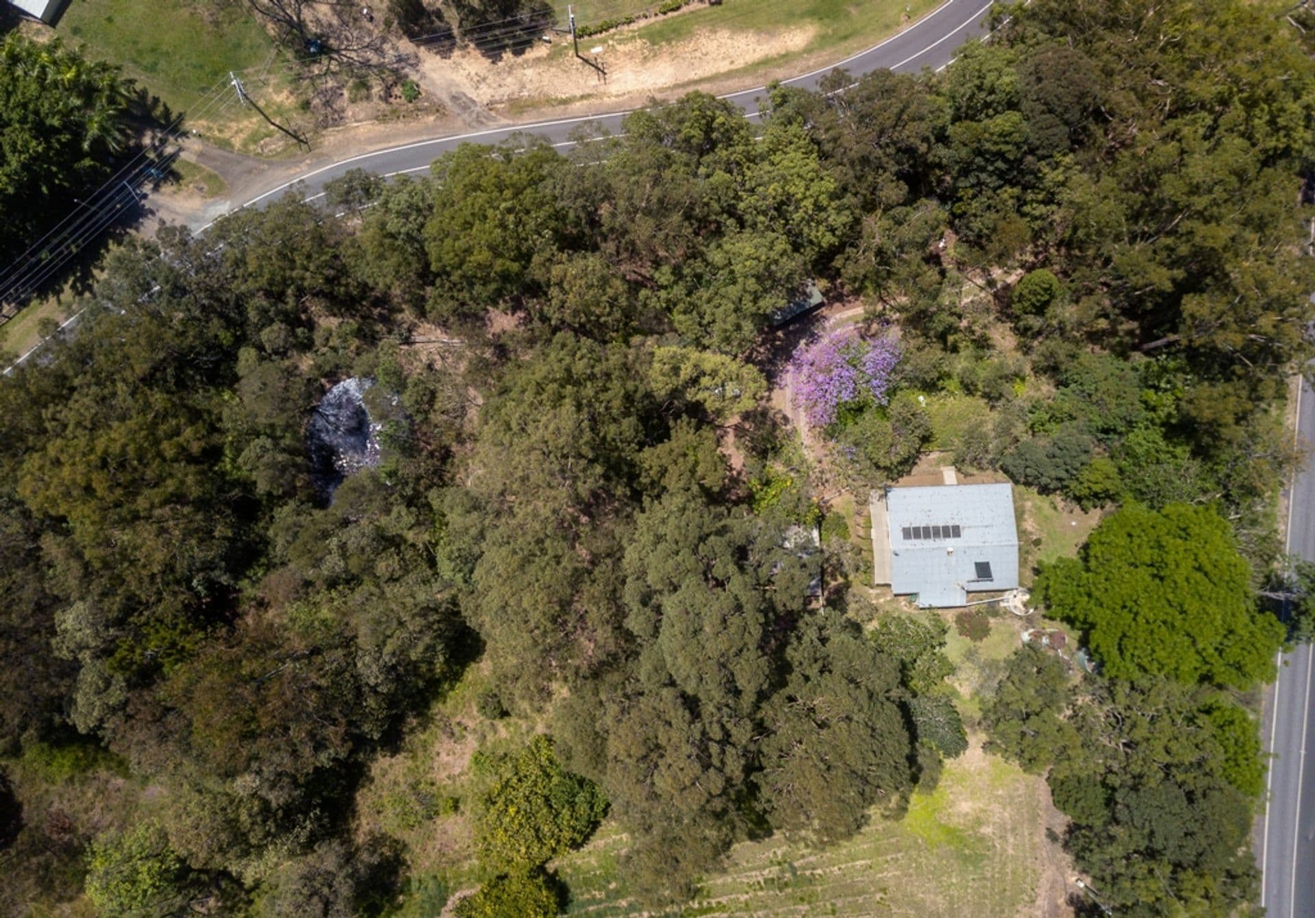 85  Landershute Road, Palmwoods, QLD, 4555, Palmwoods - Thumbnail 2