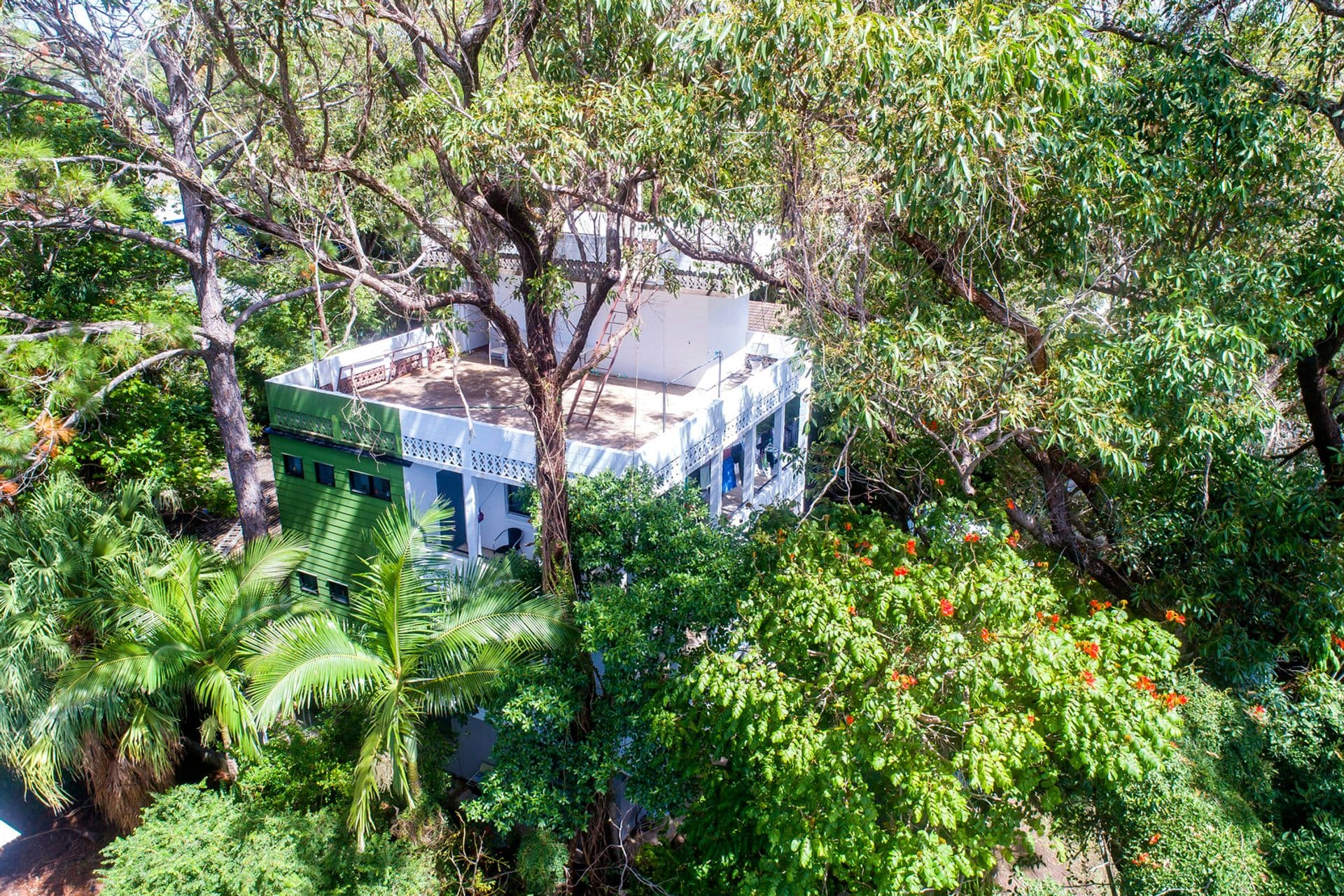66 Wrigley Street, Maroochydore, QLD, 4558, Maroochydore - Thumbnail 5