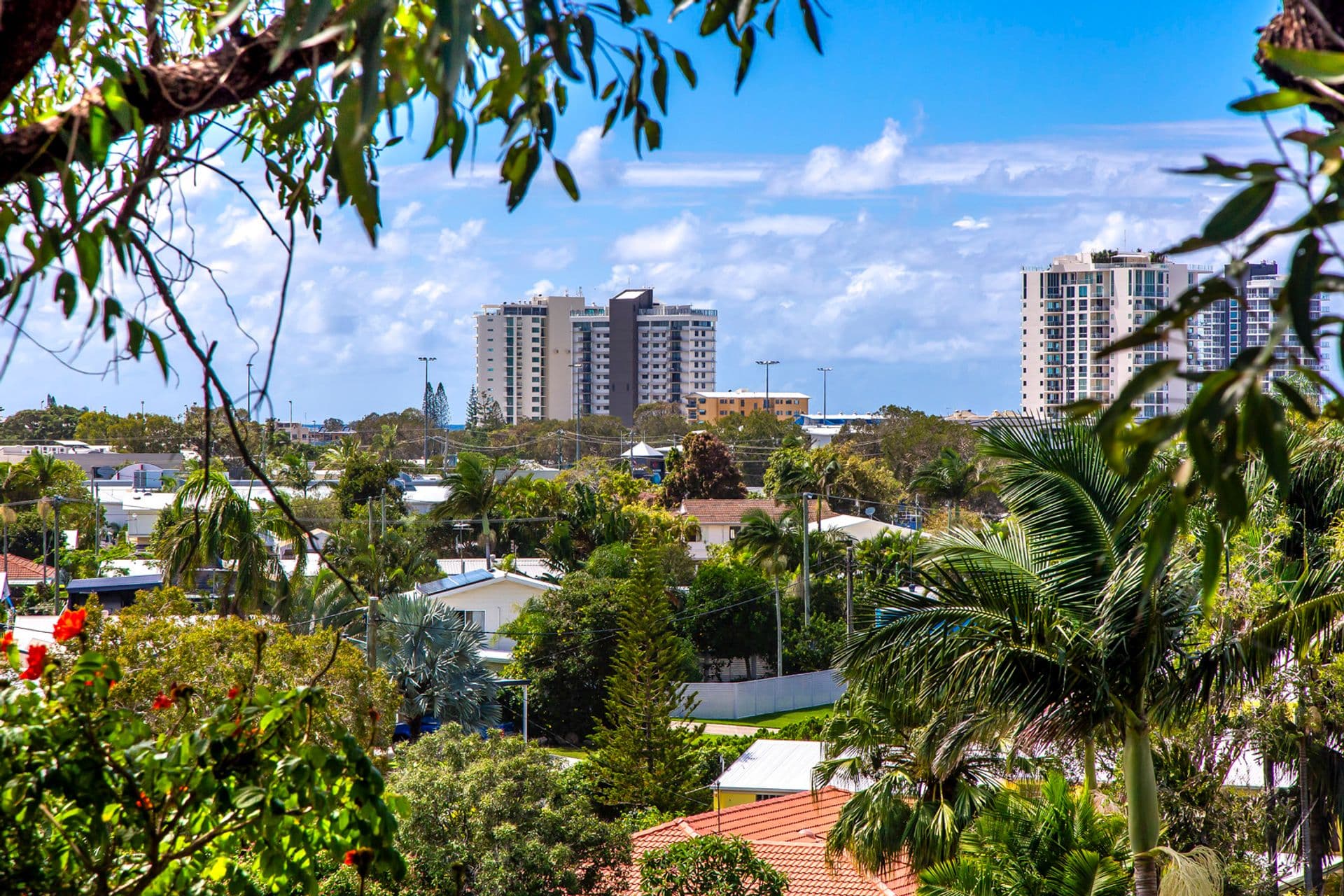 66 Wrigley Street, Maroochydore, QLD, 4558, Maroochydore - Thumbnail 6