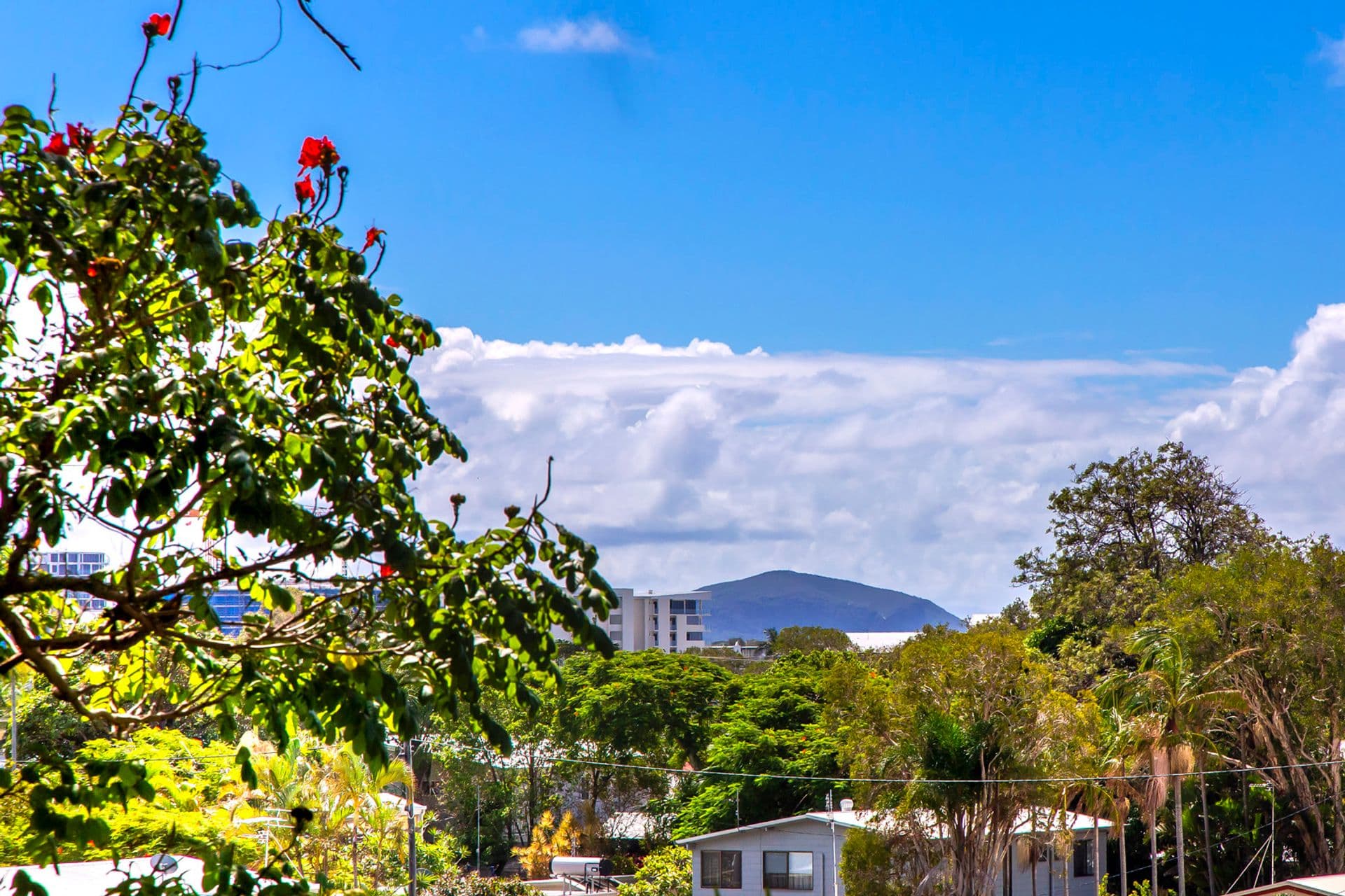 66 Wrigley Street, Maroochydore, QLD, 4558, Maroochydore - Thumbnail 7