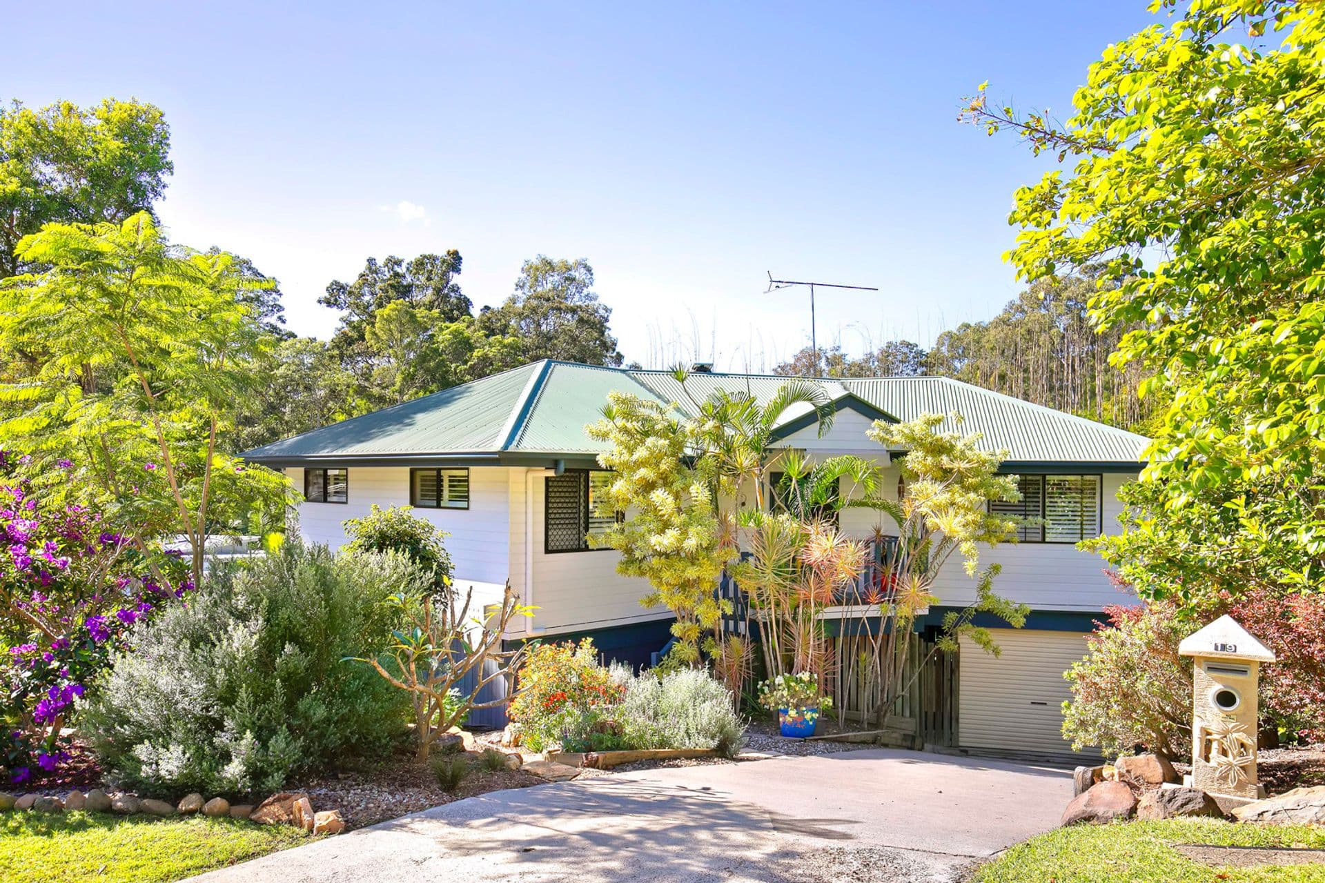 19 Tommys Court, Buderim, QLD, 4556, Buderim - Image 1