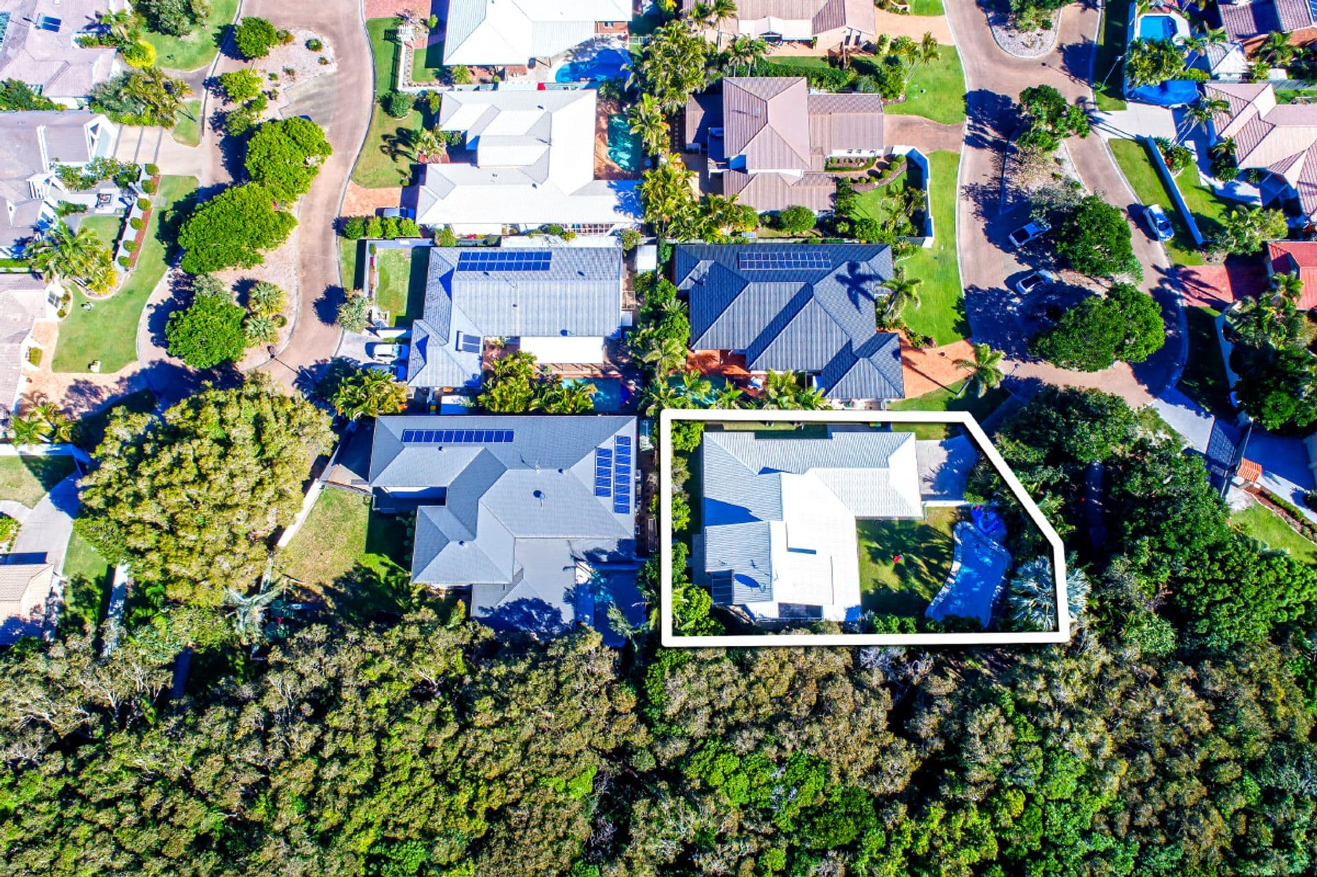 8 Bellbird Court, Wurtulla, QLD, 4575, Wurtulla - Thumbnail 3