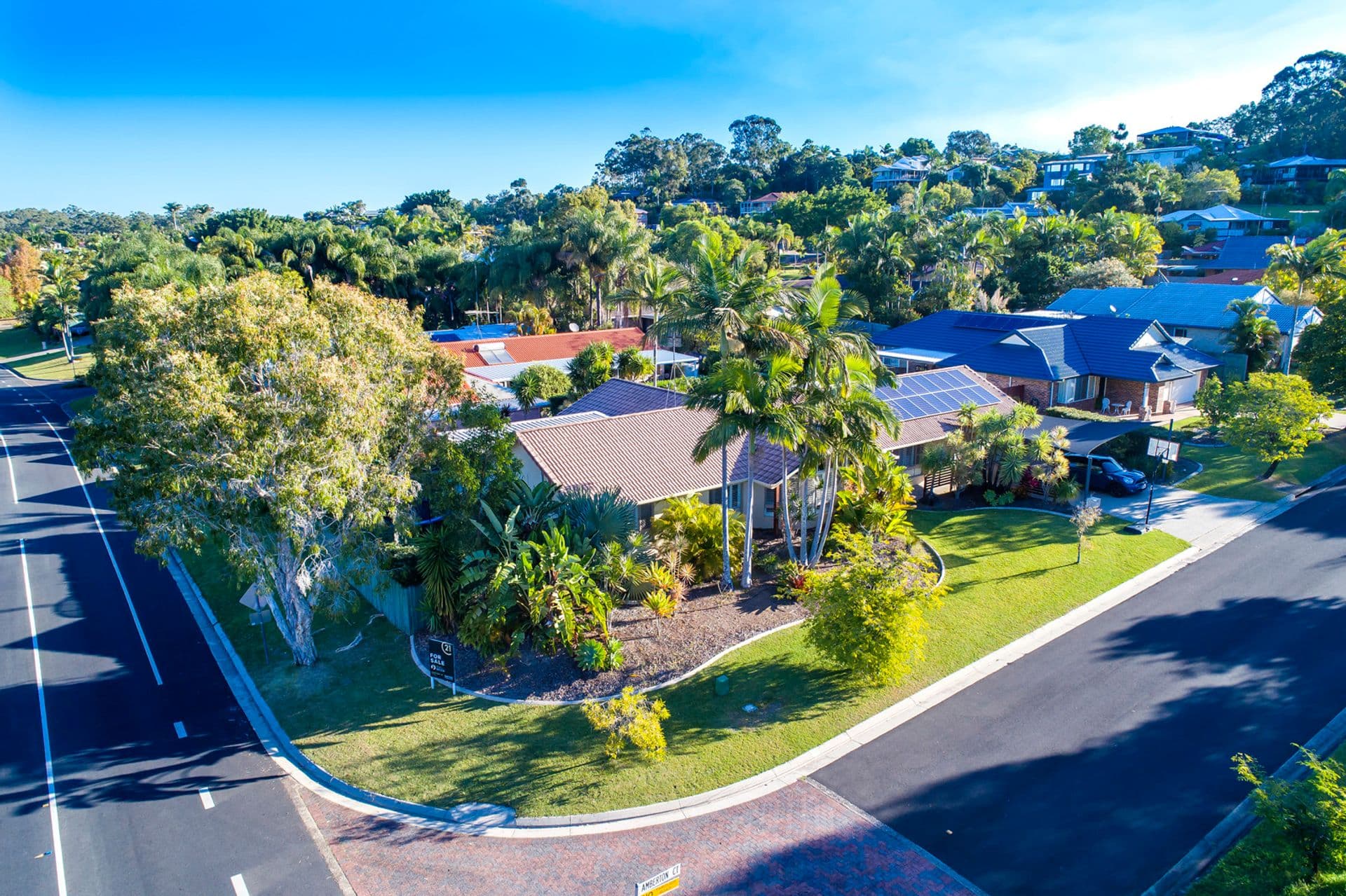 45 Jingellic Drive, Buderim, QLD, 4556, Buderim - Thumbnail 2