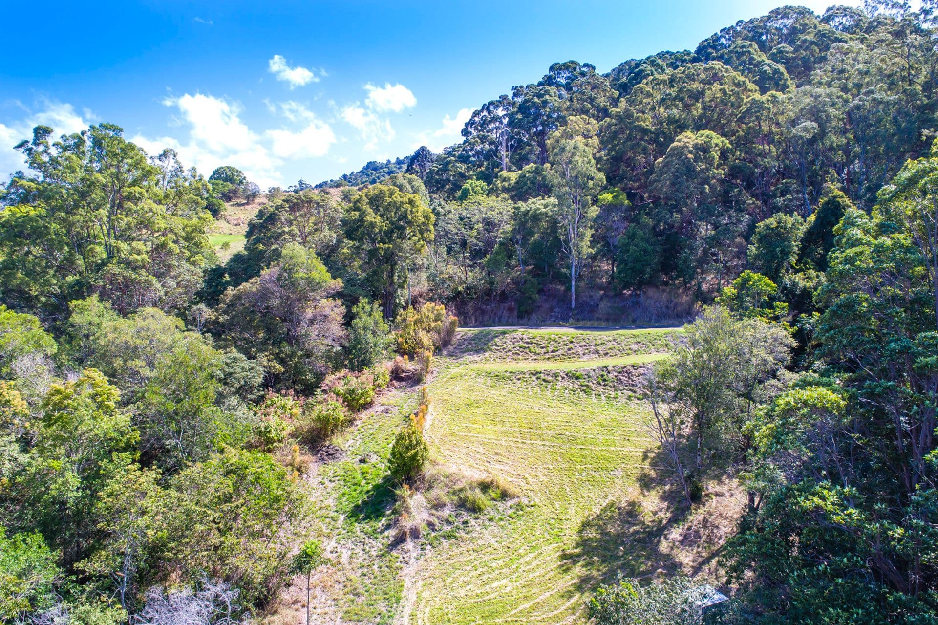 145 Kirby Road, Montville, QLD, 4560, Montville - Thumbnail 4