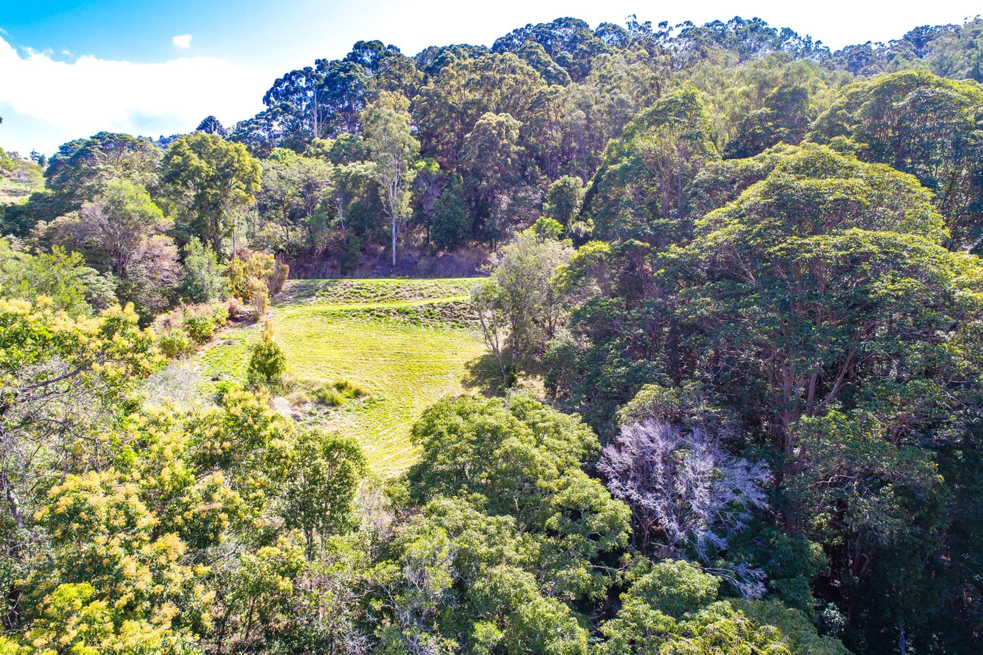 145 Kirby Road, Montville, QLD, 4560, Montville - Thumbnail 5
