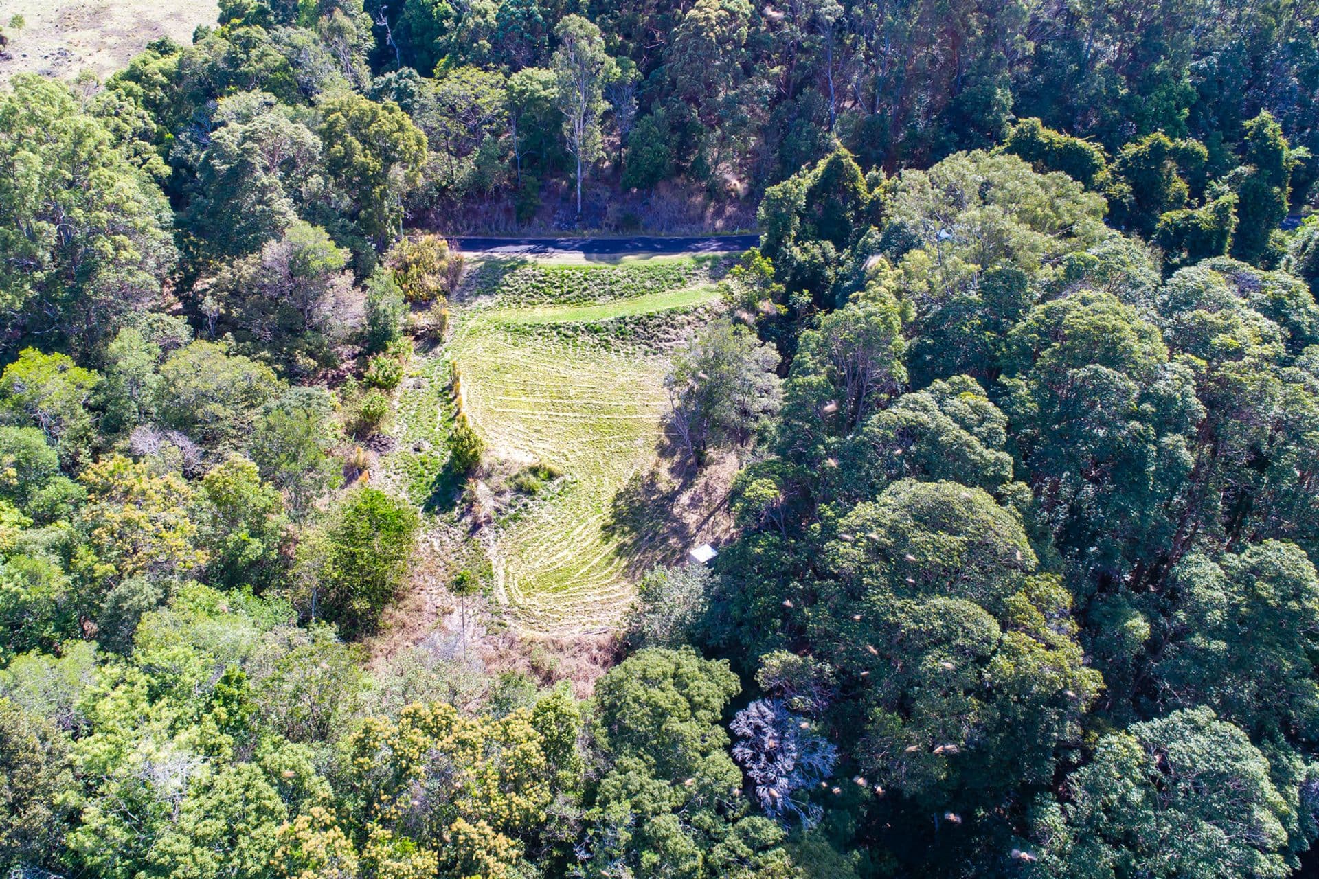 145 Kirby Road, Montville, QLD, 4560, Montville - Thumbnail 7