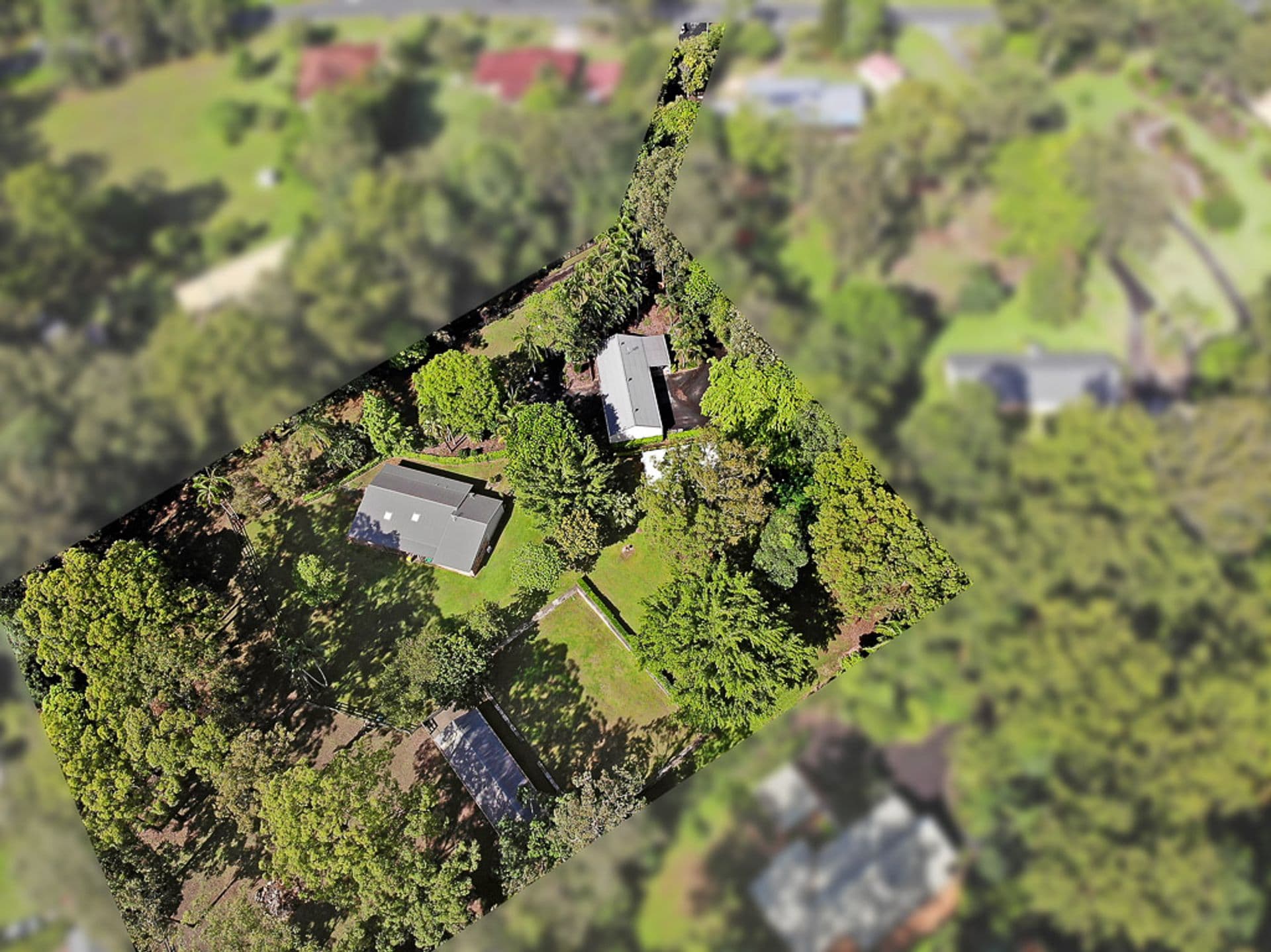 296 Connection Road, Mooloolah Valley, QLD, 4553, Mooloolah Valley - Thumbnail 7