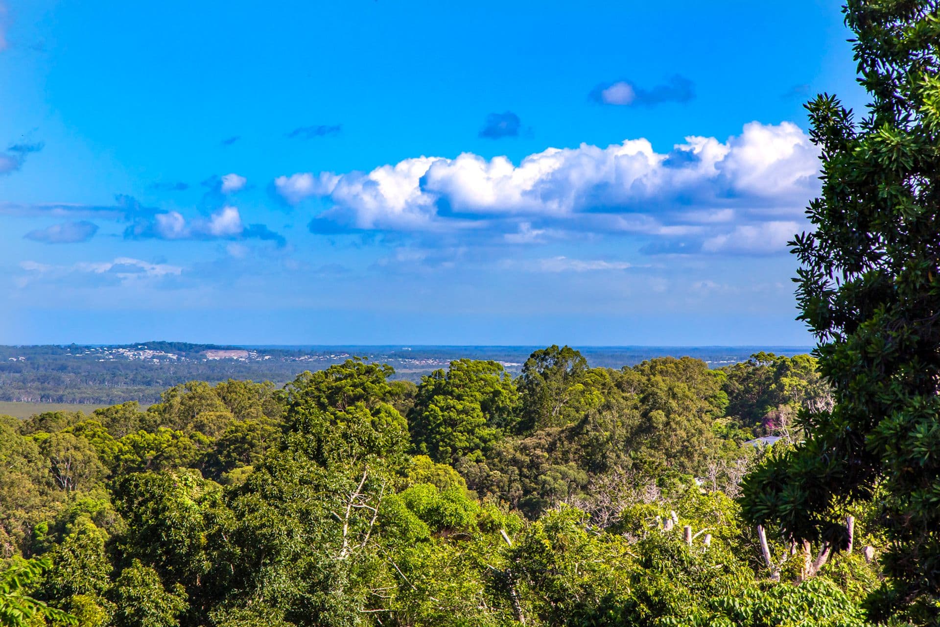 8/172 Mooloolaba Road, Buderim, QLD, 4556, Buderim - Thumbnail 2