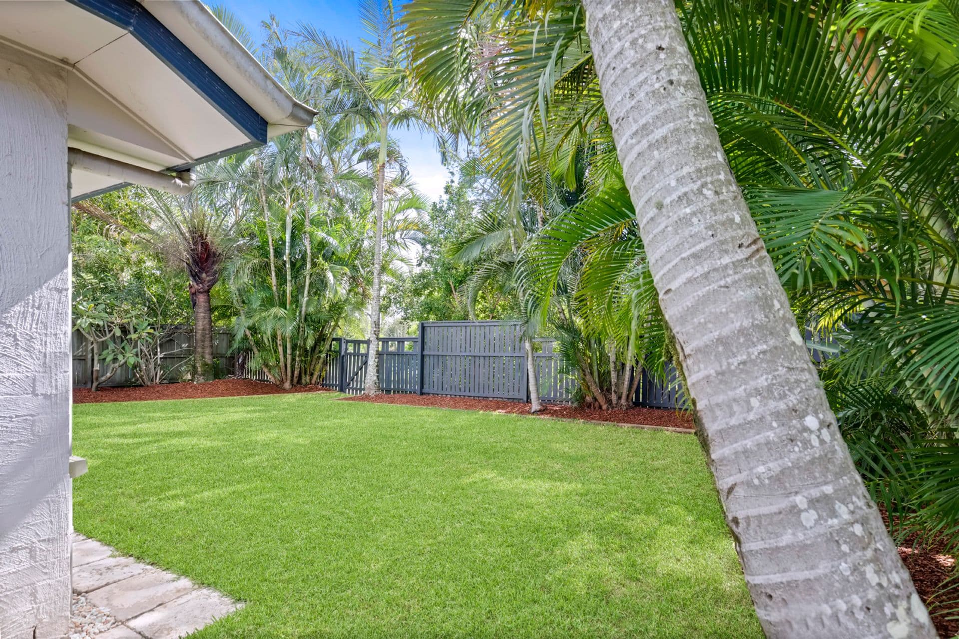 15 Honeymyrtle Court, Mountain Creek, QLD, 4557, Mountain Creek - Thumbnail 8