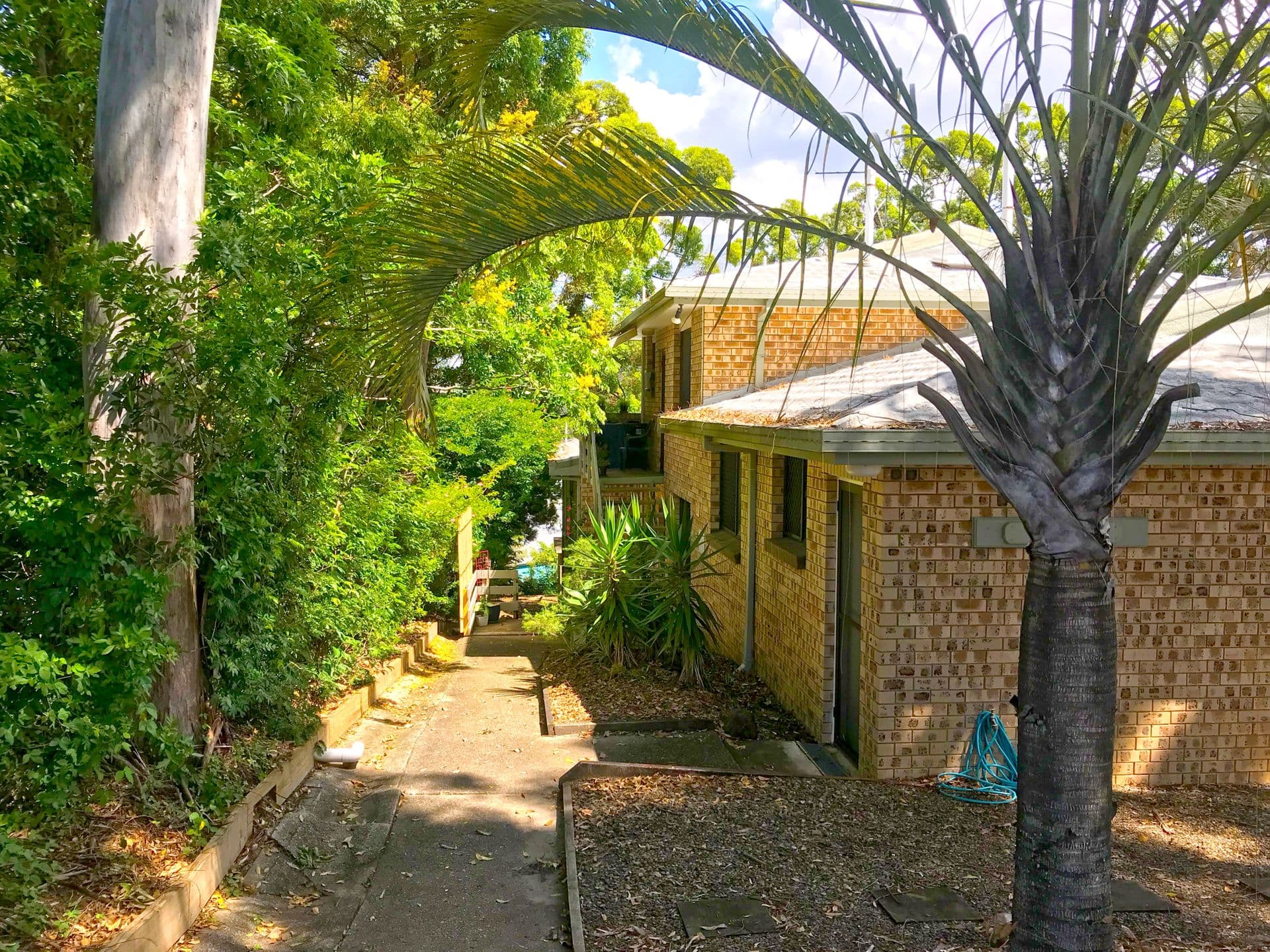 4/65 Yakola Parade, Alexandra Headland, QLD, 4572, Alexandra Headland - Thumbnail 2