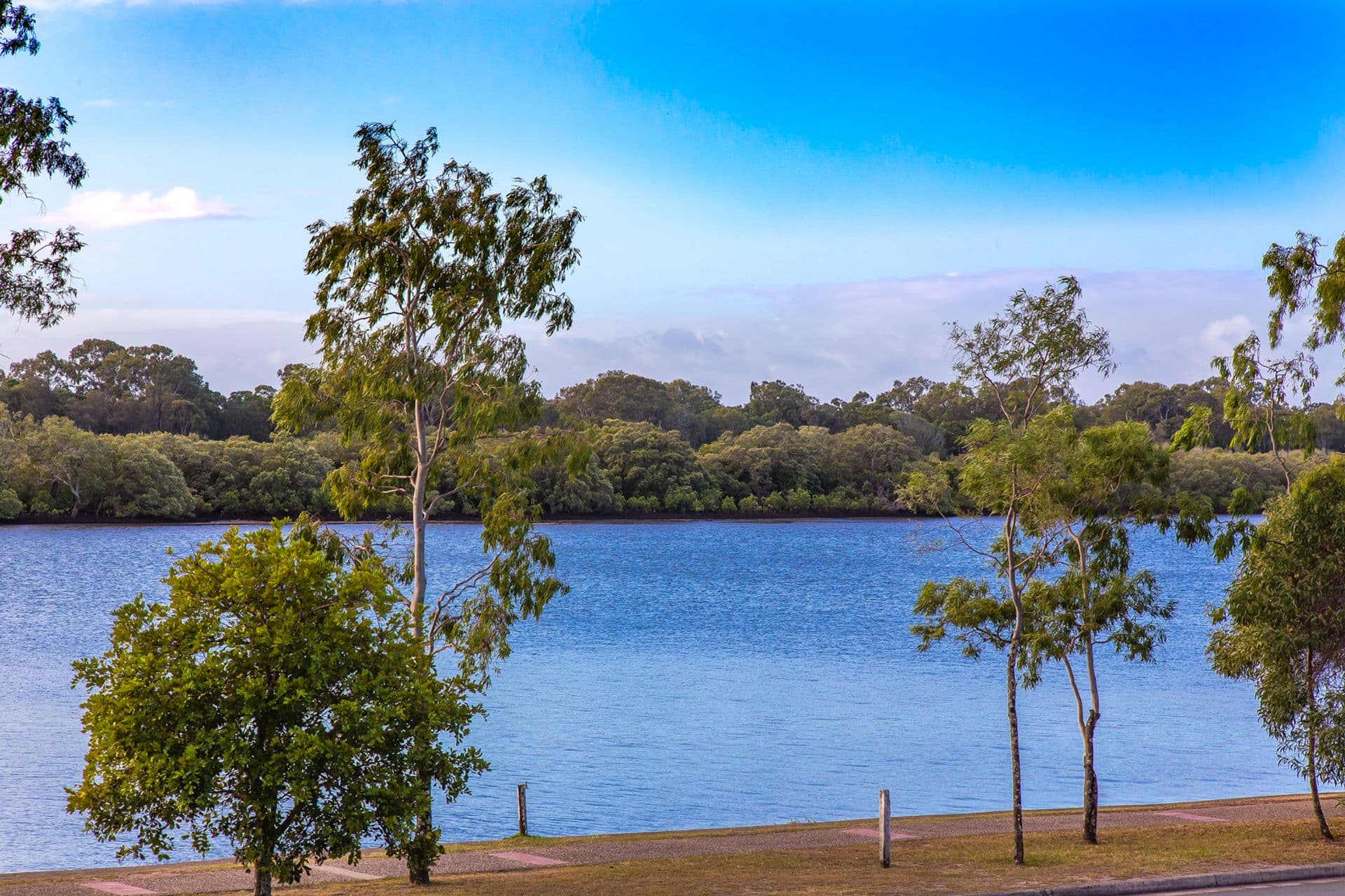 213 Bradman Avenue, Maroochydore, QLD, 4558, Maroochydore - Thumbnail 4