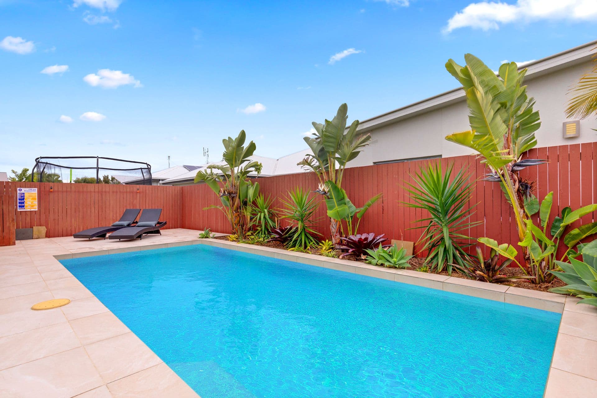 50 Brampton Crescent, Mountain Creek, QLD, 4557, Mountain Creek - Thumbnail 8